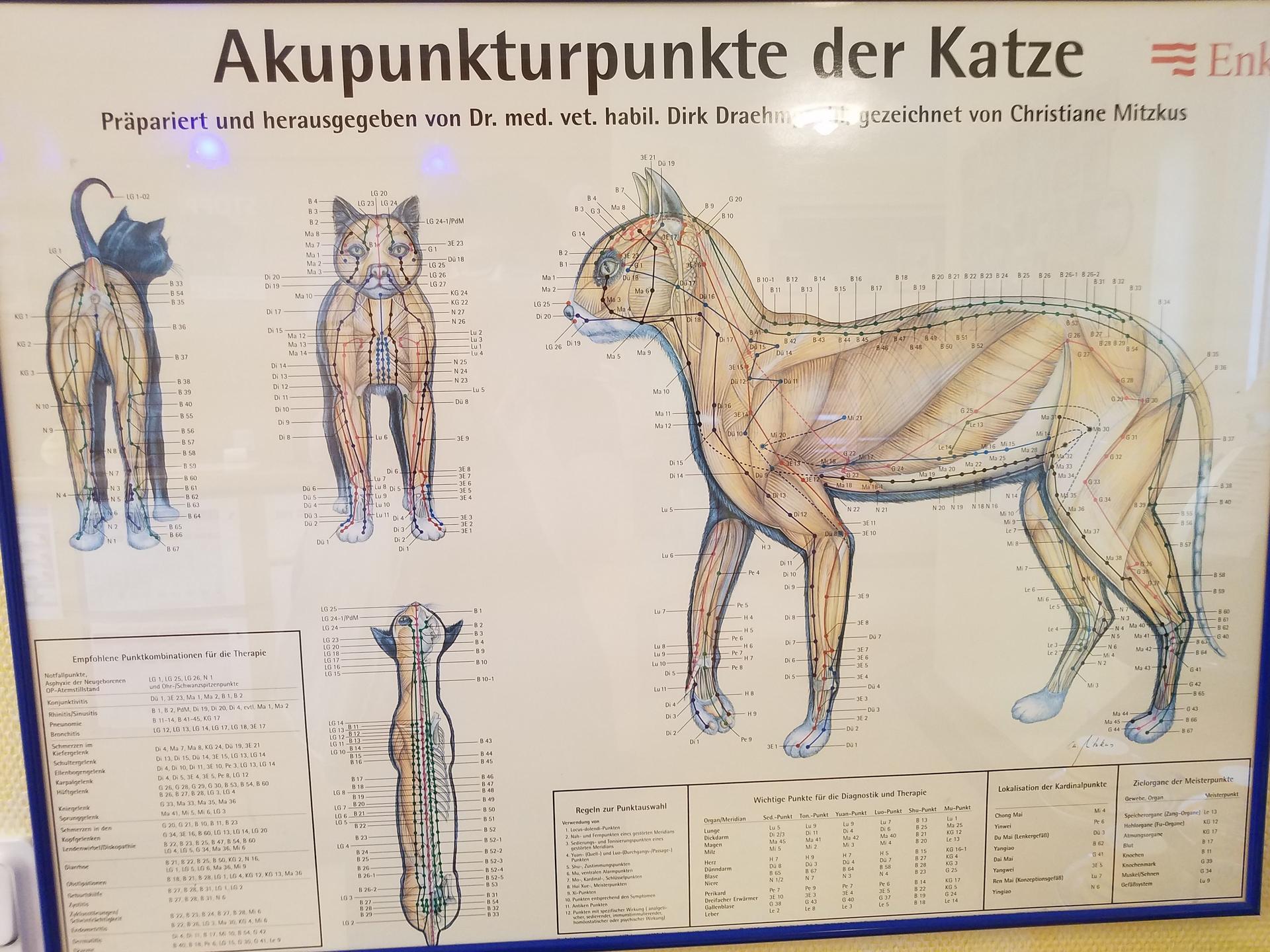 Ansicht 1 von Stefanie Heide-Röller Tierärztin