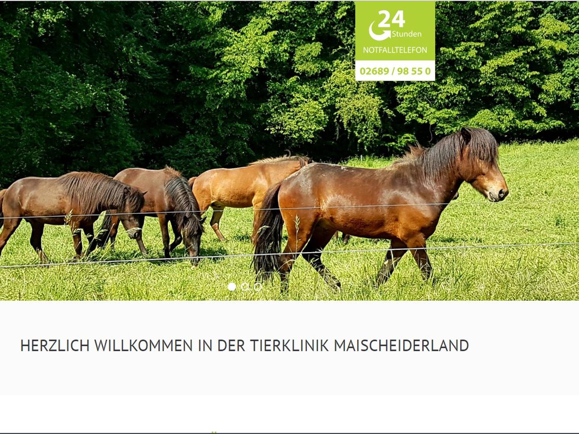Ansicht 1 von Pferdeklinik Maischeiderland GmbH