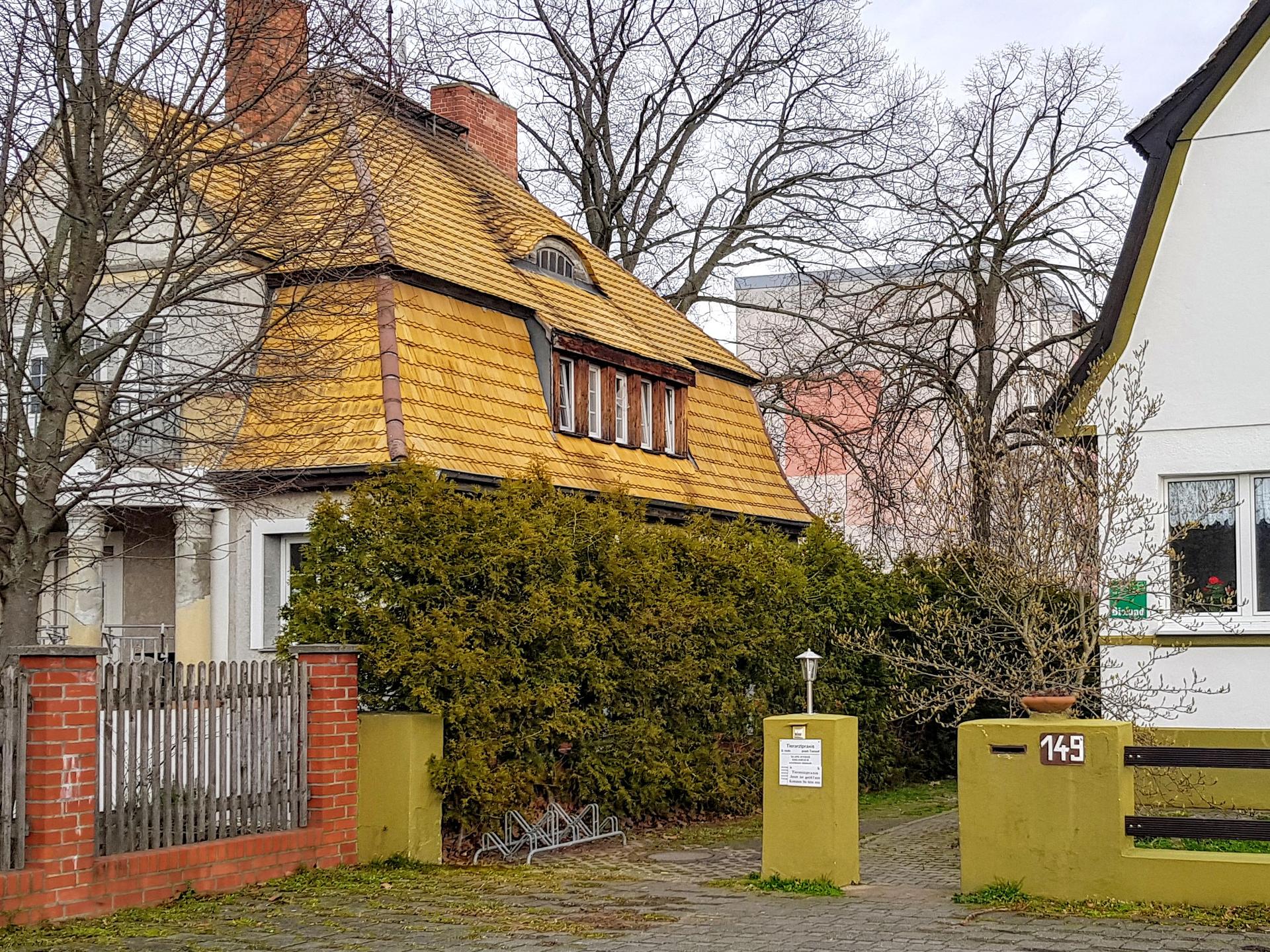 Ansicht 2 von DVM Tierarzt Detlef Hoth