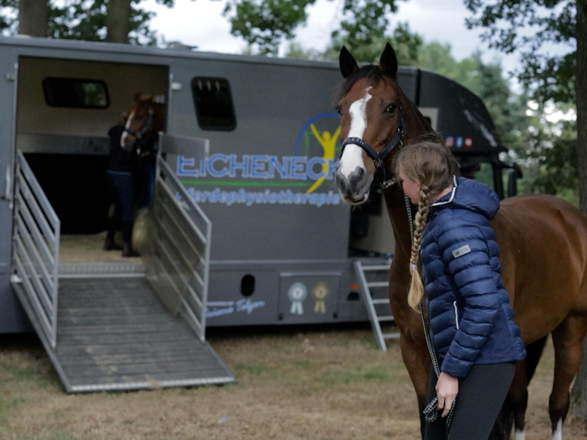 View 3 of Equine Dental Care Rabea Neubaum-Otte