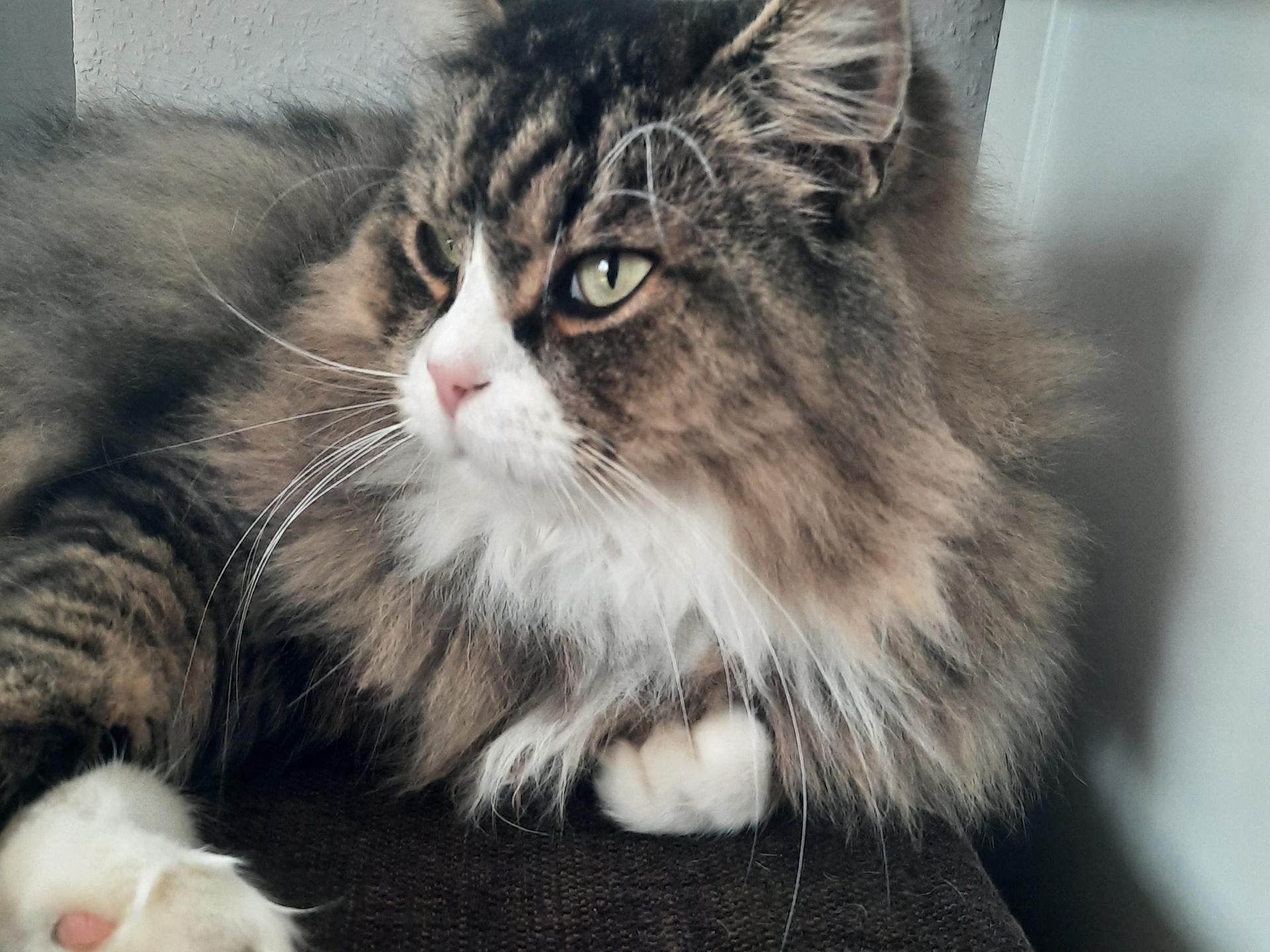 Ansicht 3 von Susanne Struck Tierärztin