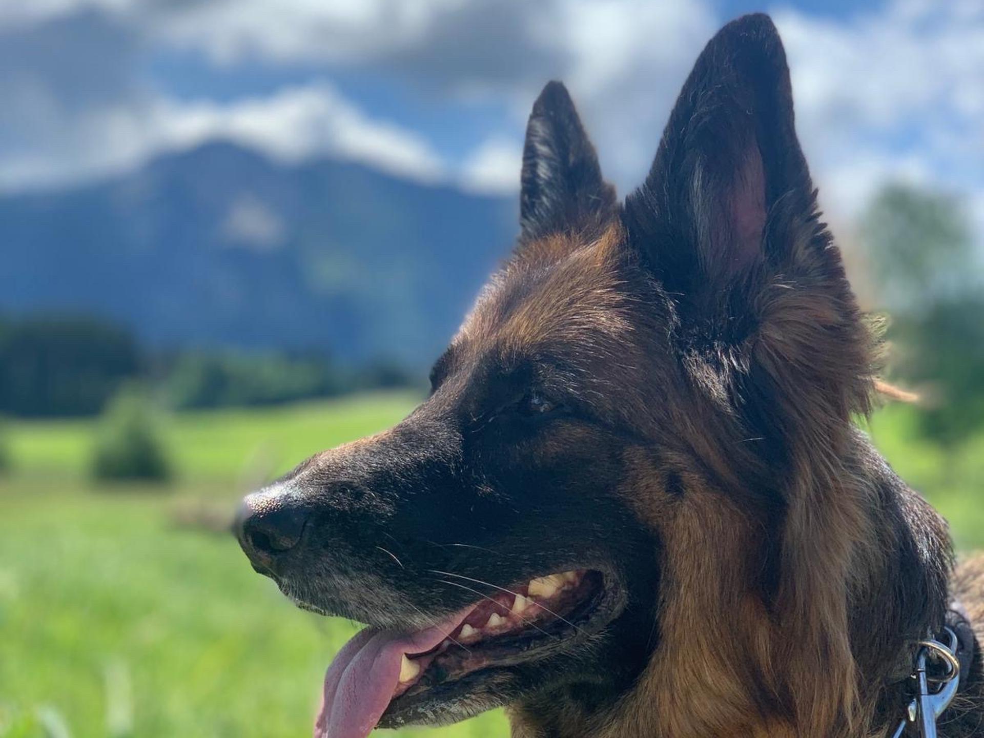 Ansicht 2 von Dr.med.vet. Anja Meier
