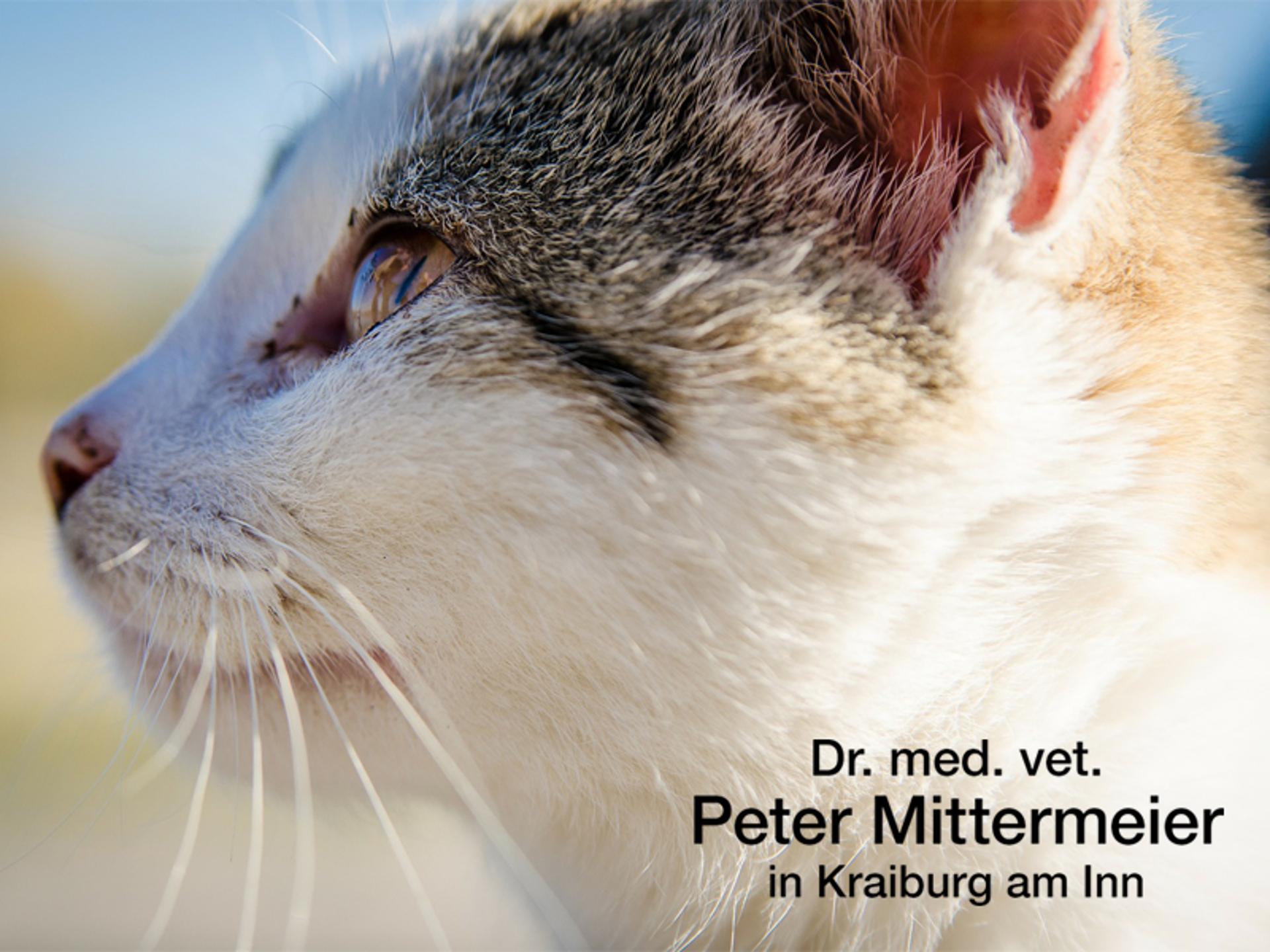 Ansicht 1 von Dr. med. vet. Peter Mittermeier