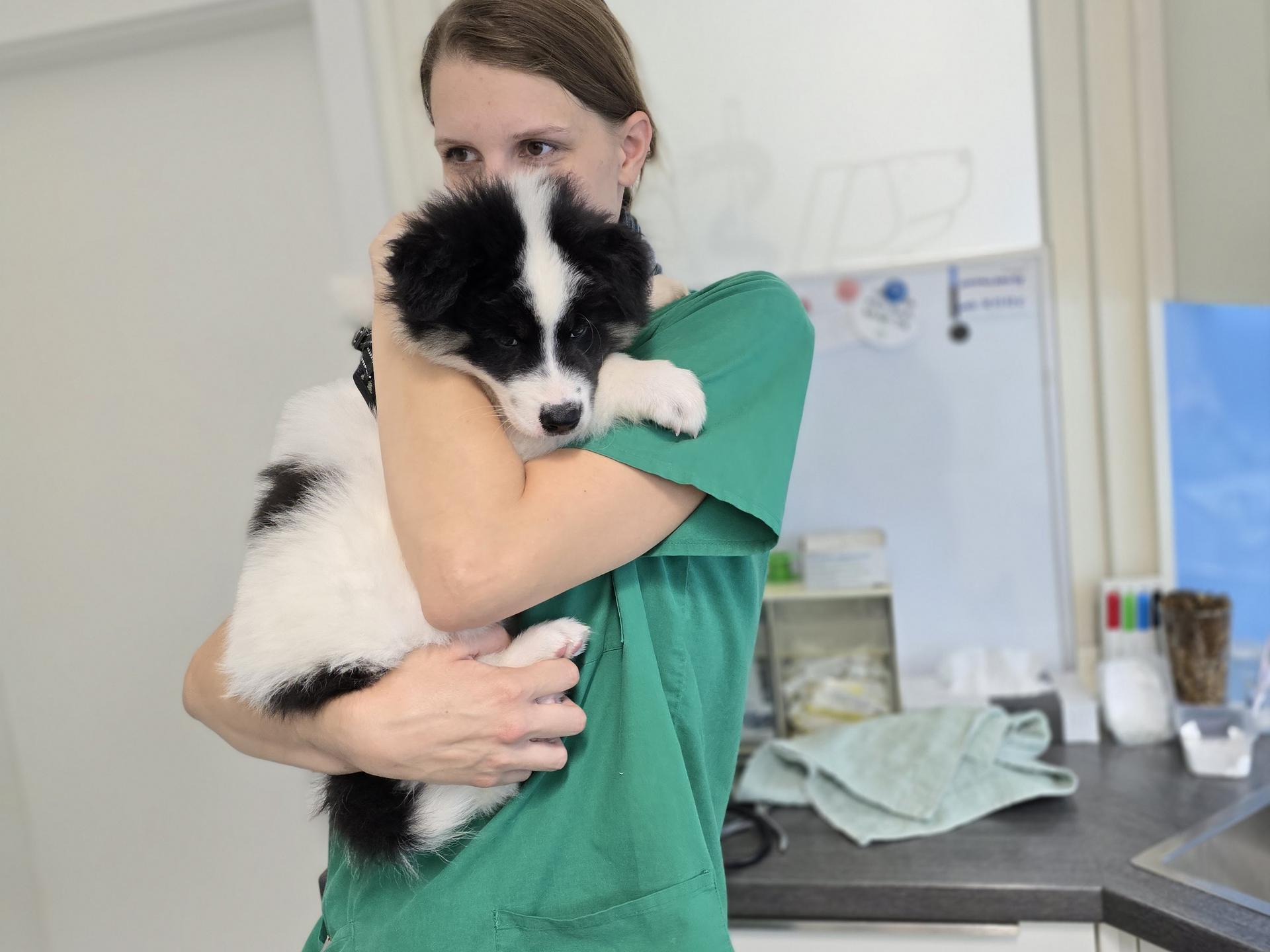 Ansicht 3 von Dr.med.vet. Kesten