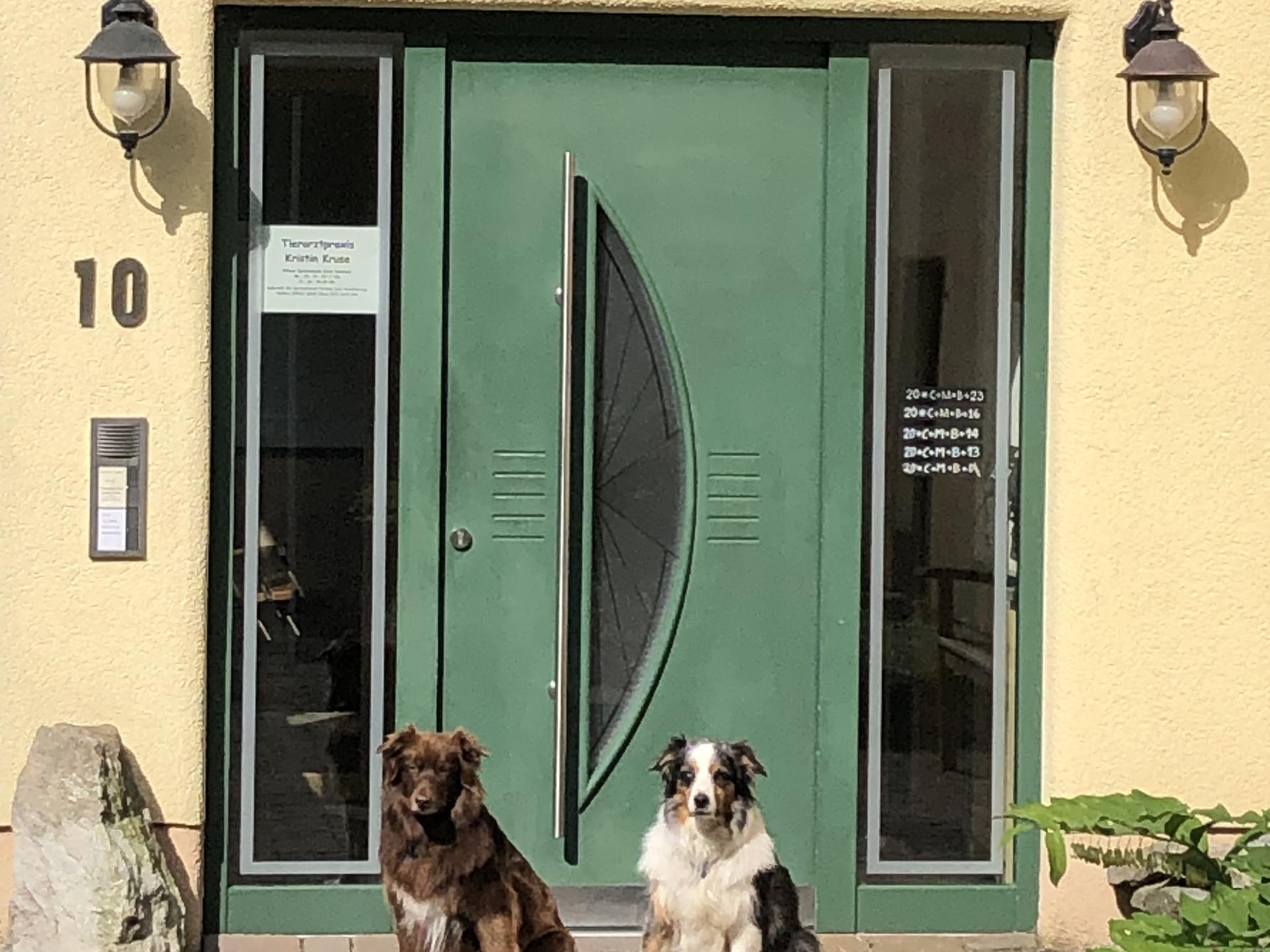 Ansicht 2 von Tierarztpraxis Kristin Kruse