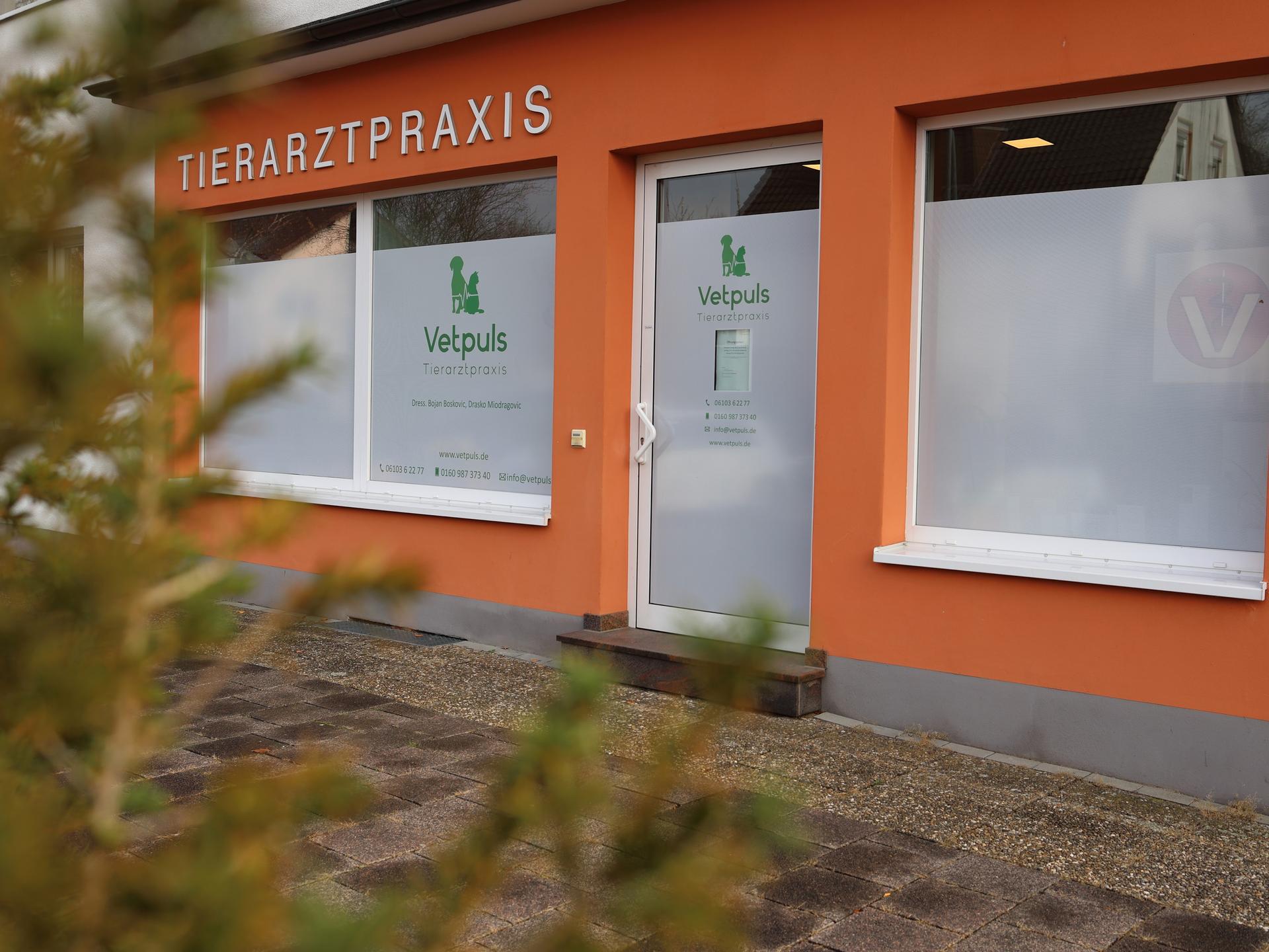 Ansicht 2 von Tierarztpraxis VetPuls