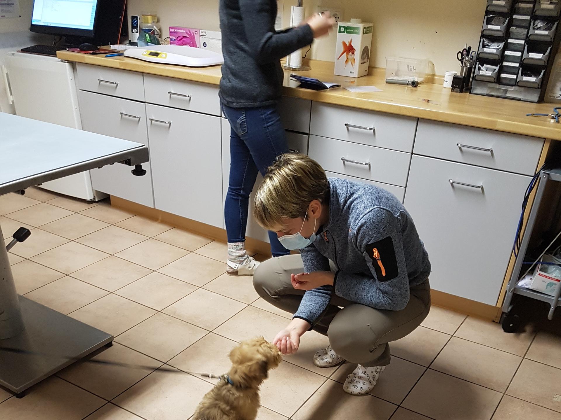 Ansicht 1 von Dr.med.vet. Ina Spreckels Tierärztin
