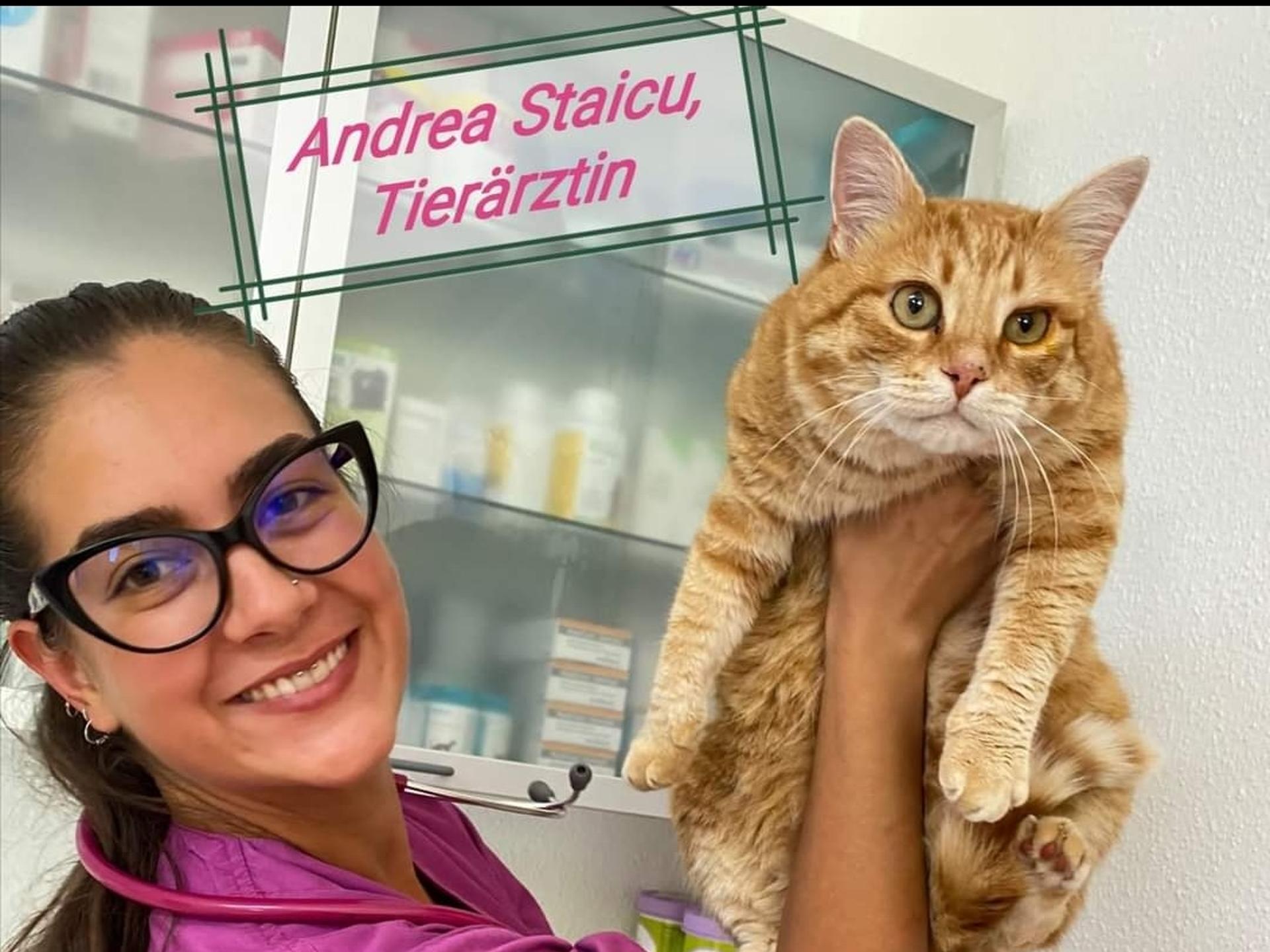 Ansicht 1 von Tierarztpraxis Waldkirchen Andrea-Maria Staicu