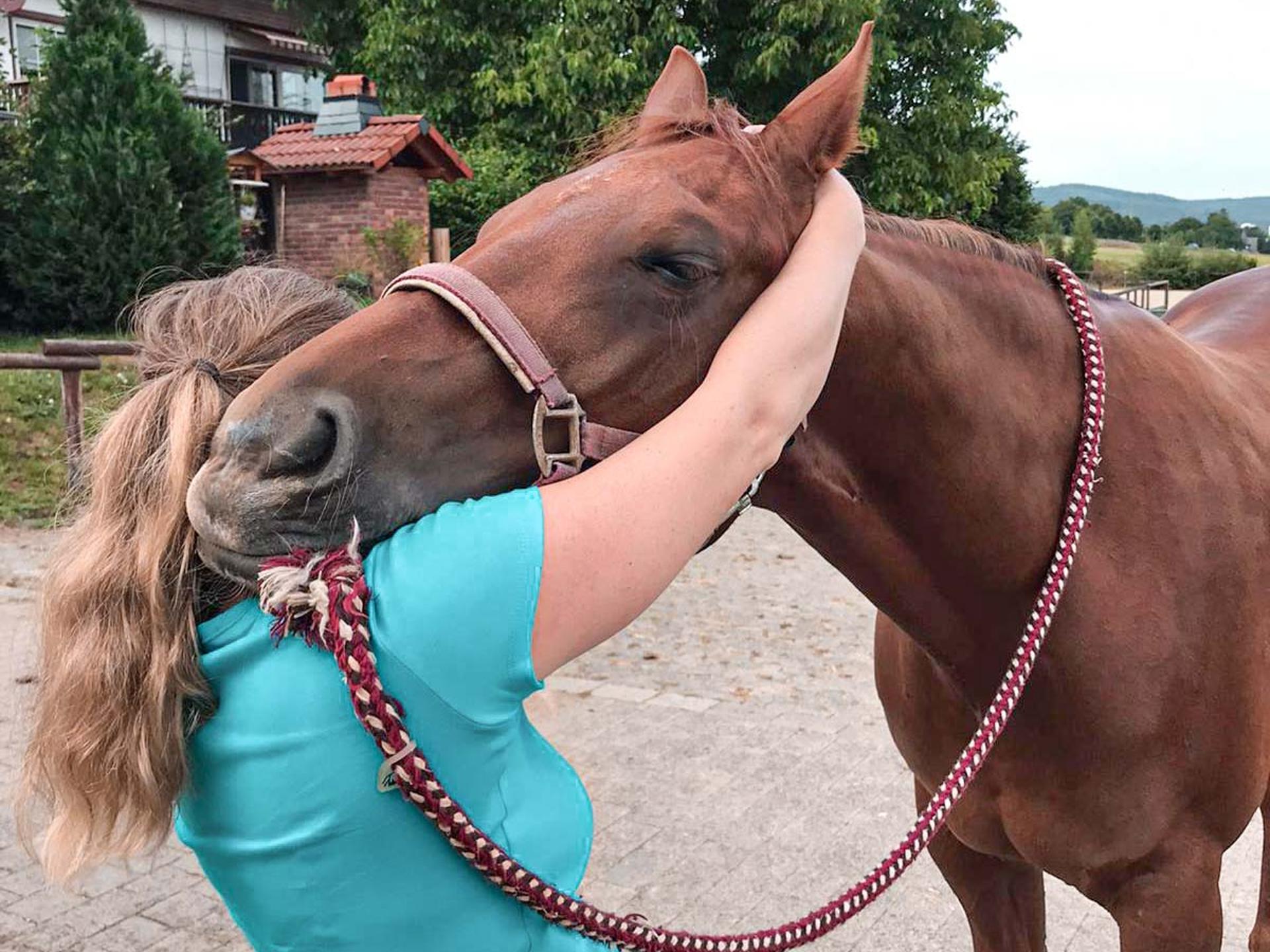 Ansicht 2 von Tierarzt & Osteopathie Claudia Otto
