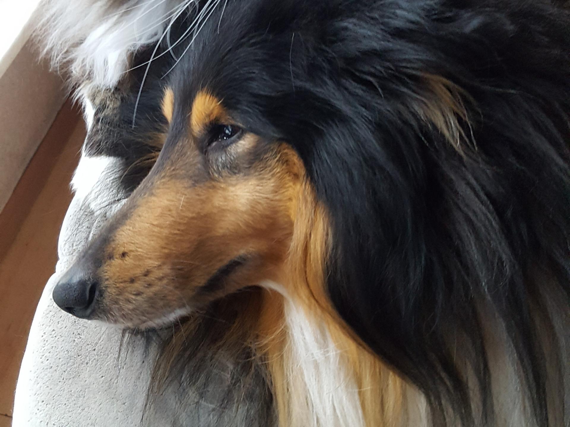 Ansicht 2 von Tierarztpraxis am Augarten
