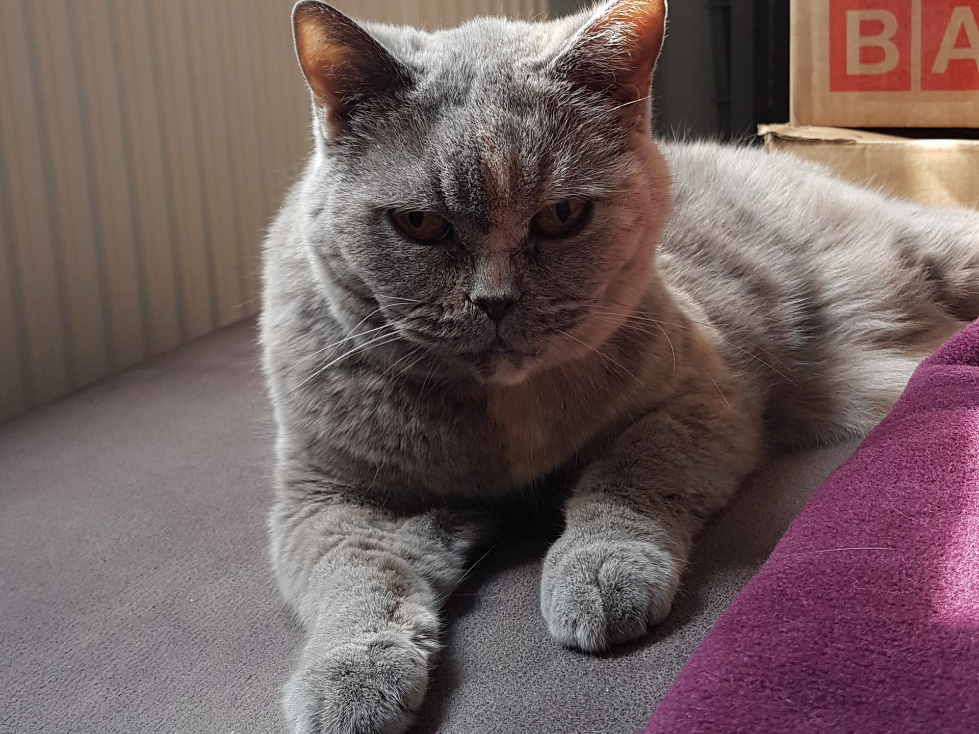 Ansicht 3 von Dr.med.vet. Ina Wienrich Tierärztin