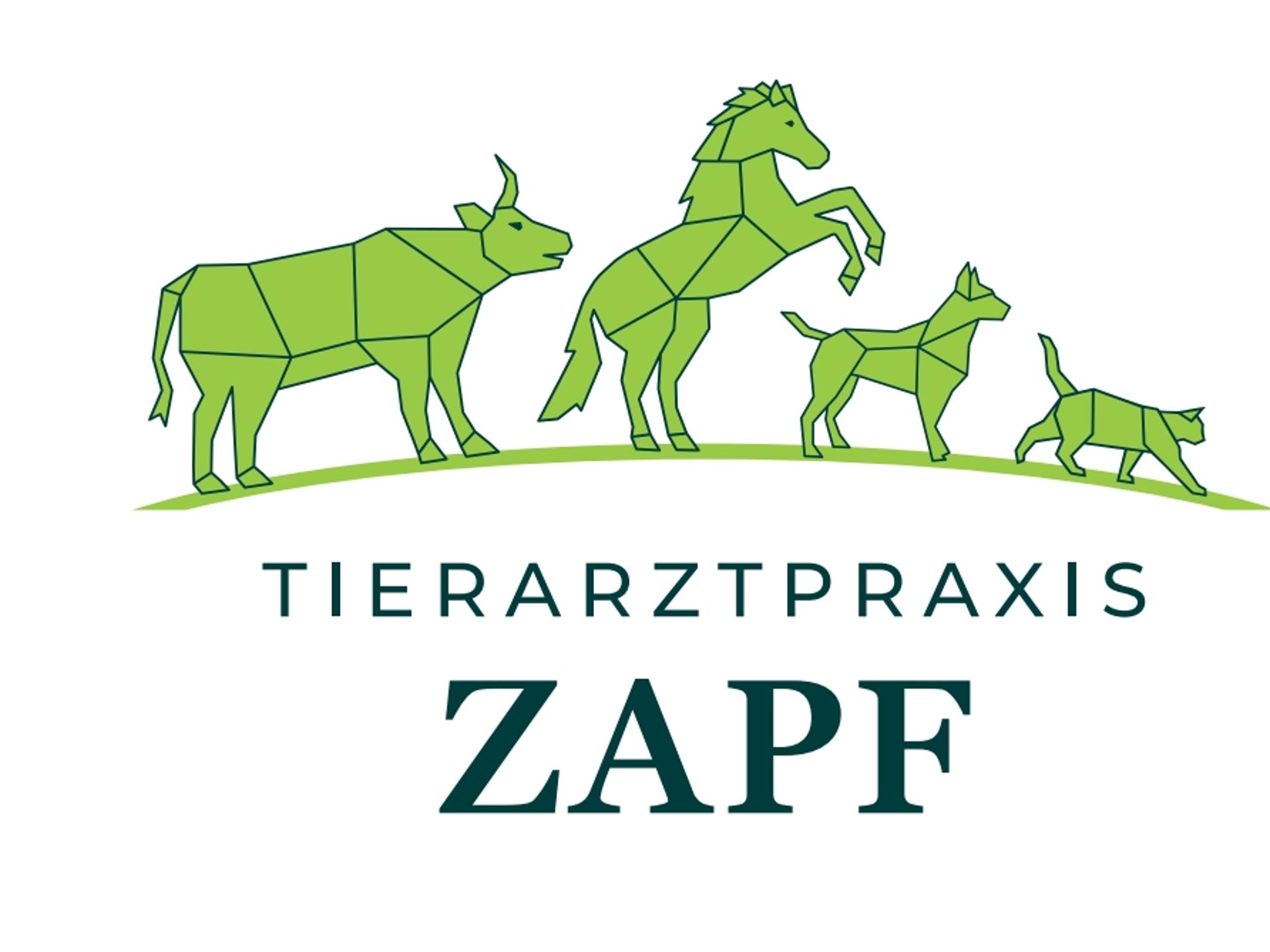 Ansicht 3 von Tierarztpraxis Dr. Anne Zapf