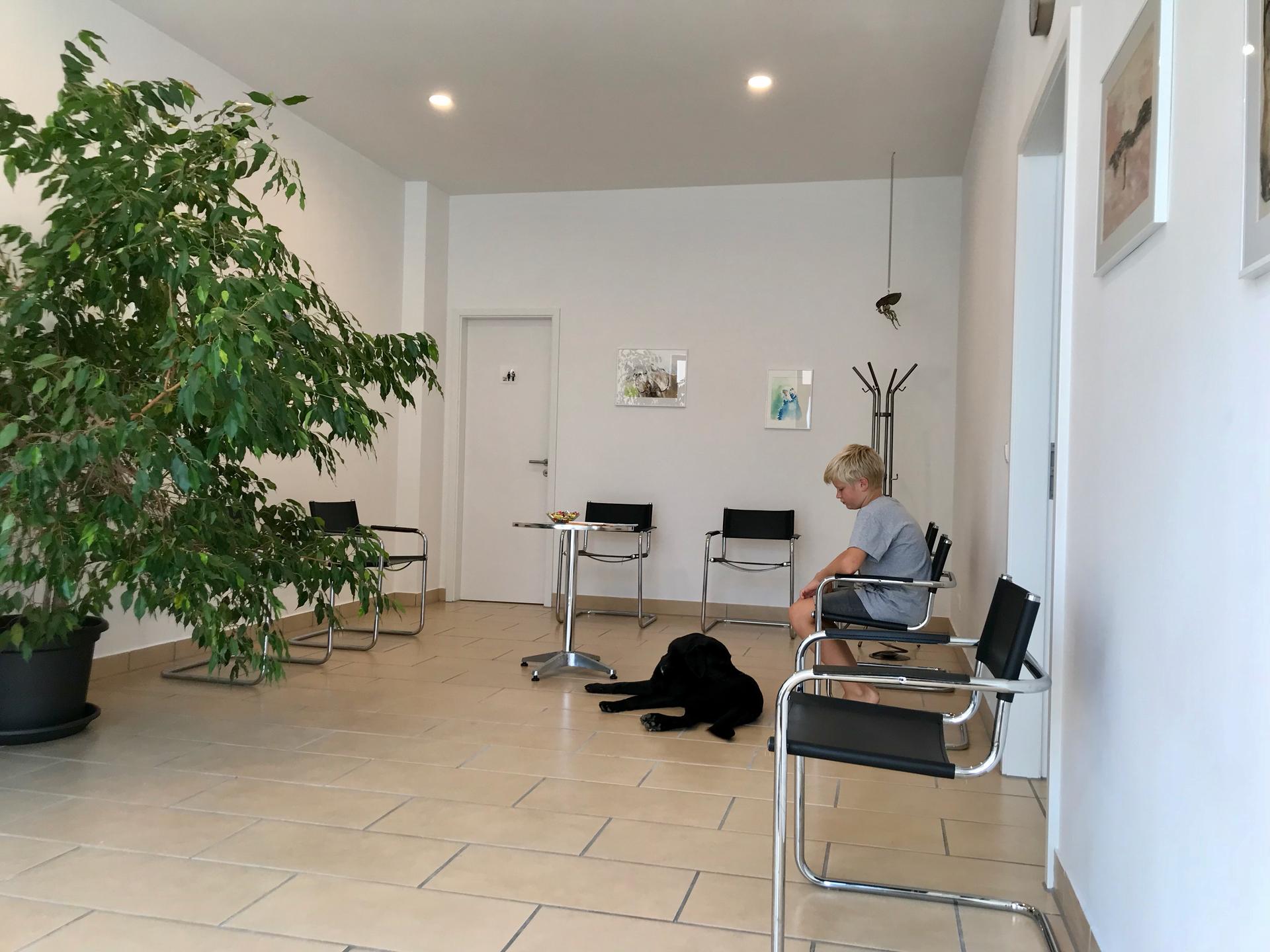 Ansicht 3 von Tierarztpraxis Schongau, Dr. Christina Hank