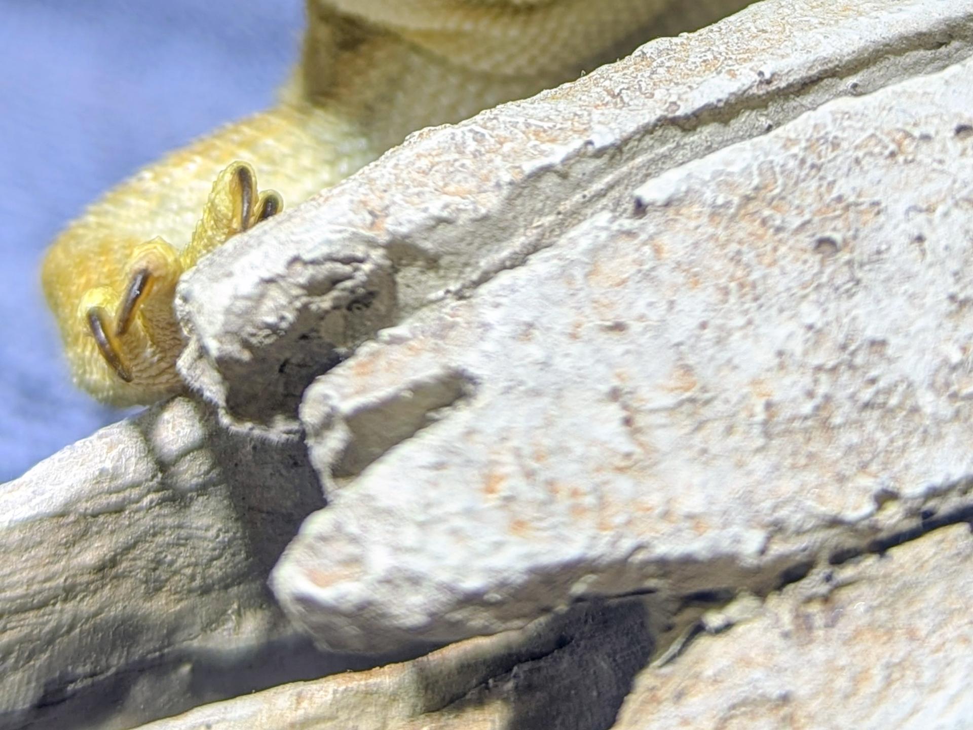 Ansicht 2 von Tierarztpraxis-Einum für Kleintiere & Reptilien, Dr.med.vet. Alexandra Pauck
