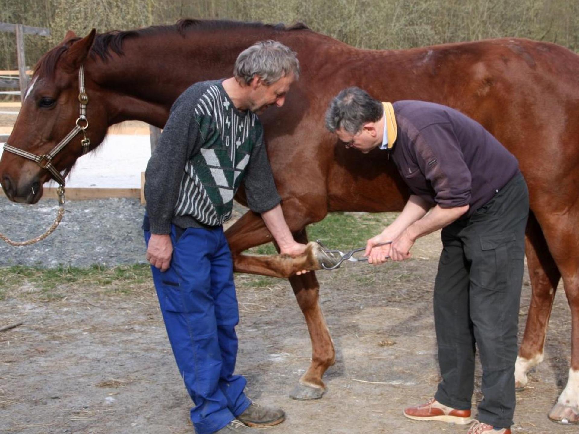 Ansicht 4 von Tierarztpraxis Dr. Mußmächer
