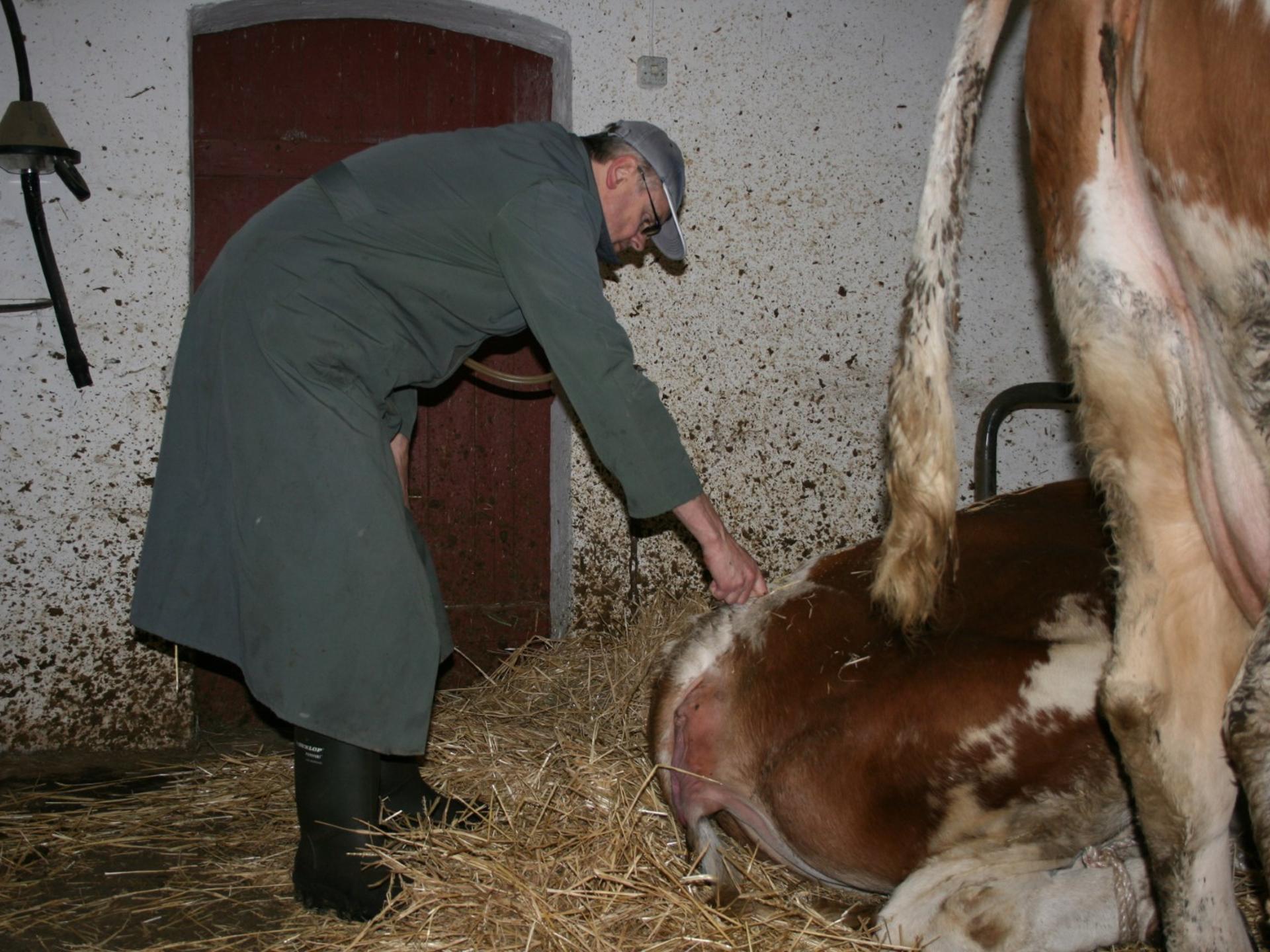 Ansicht 5 von Tierarztpraxis Dr. Mußmächer