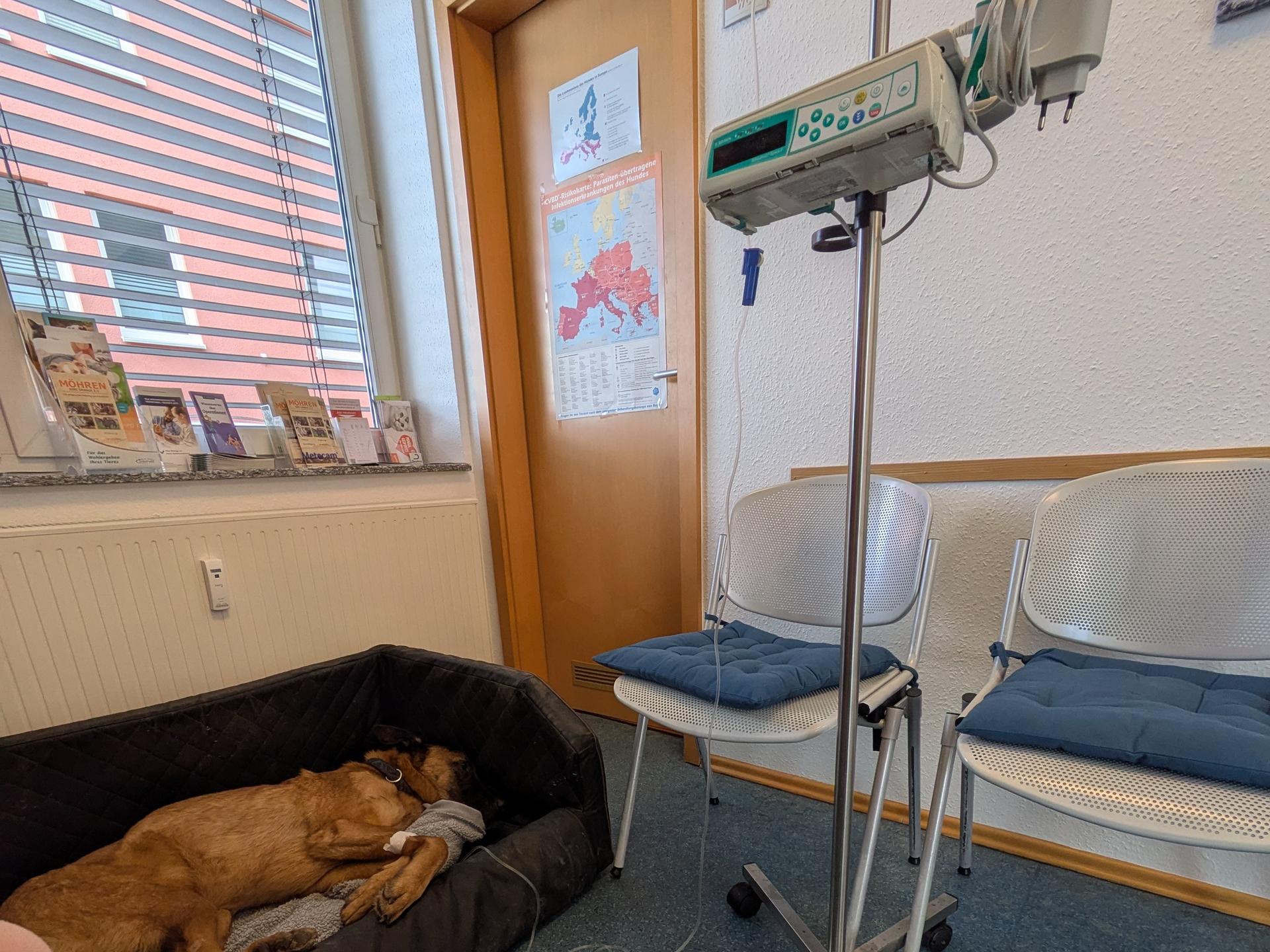 Ansicht 2 von Dr. med. vet. Martin Fuchs