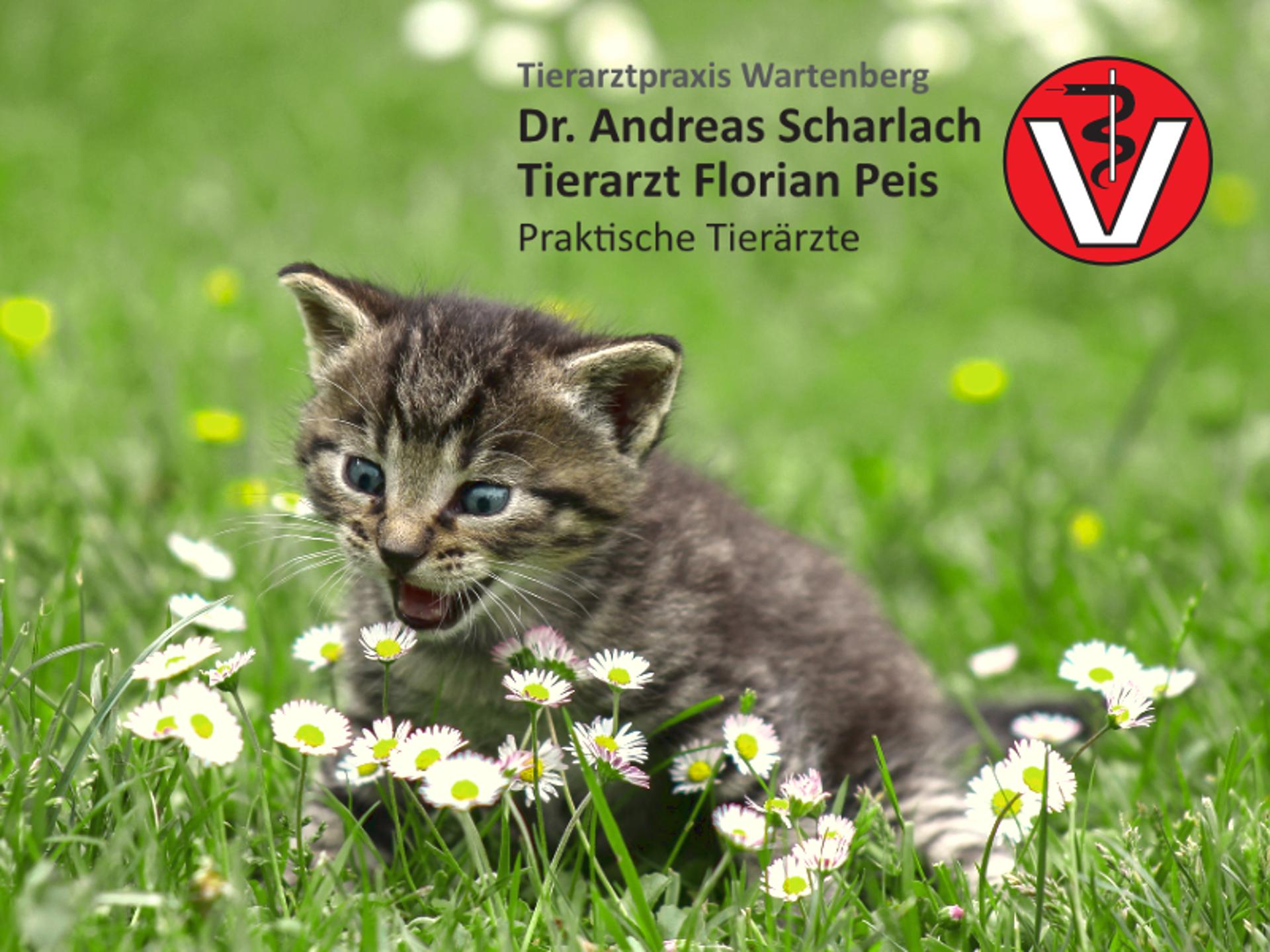 Ansicht 1 von Dr. Andreas Scharlach / TA Florian Peis Tierarztpraxis Wartenberg