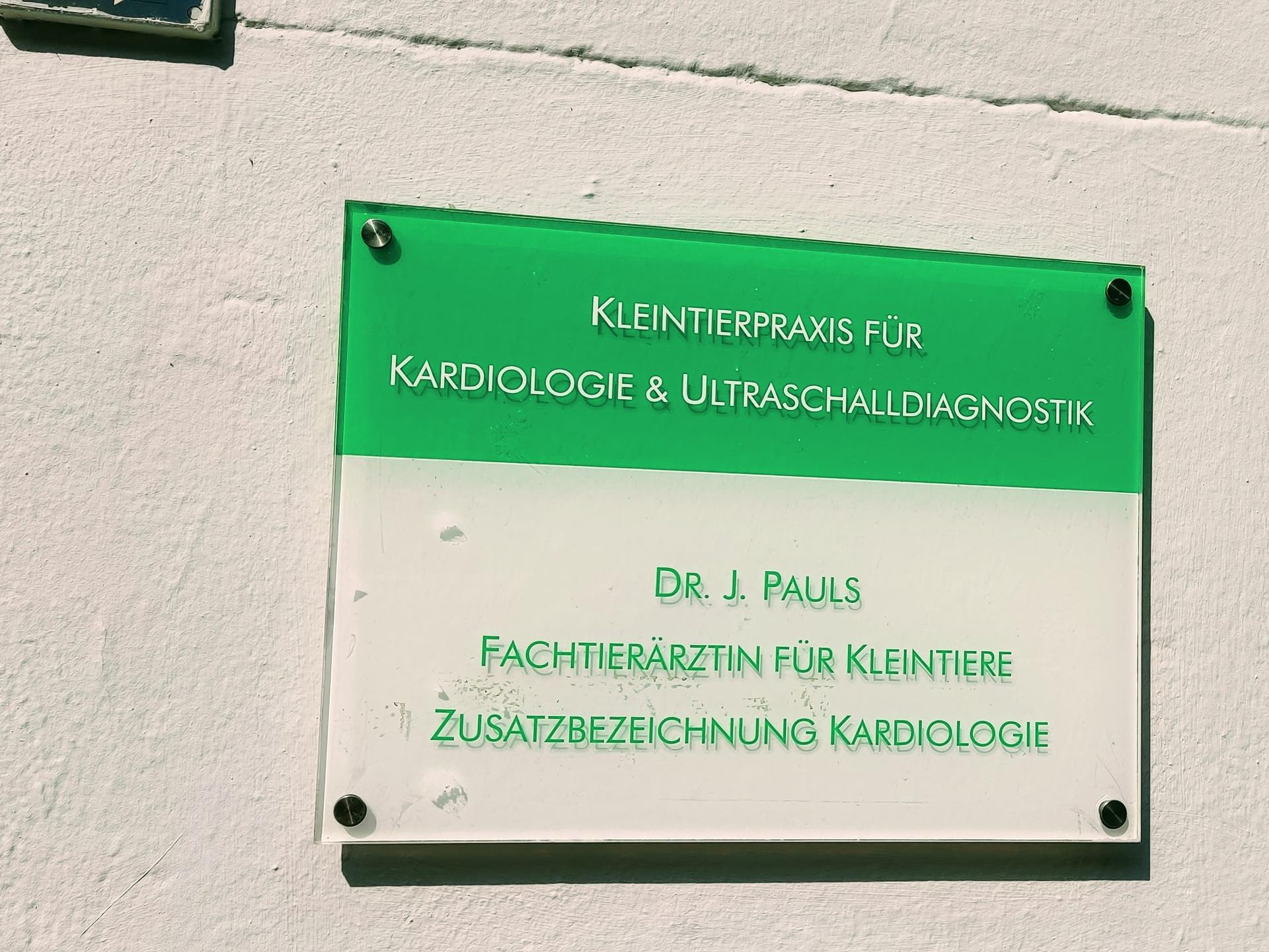 Ansicht 5 von Dr. Johanna Pauls