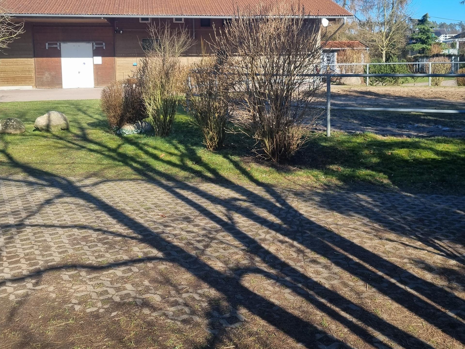 Ansicht 3 von TIERKLINIK Alt-Sammit