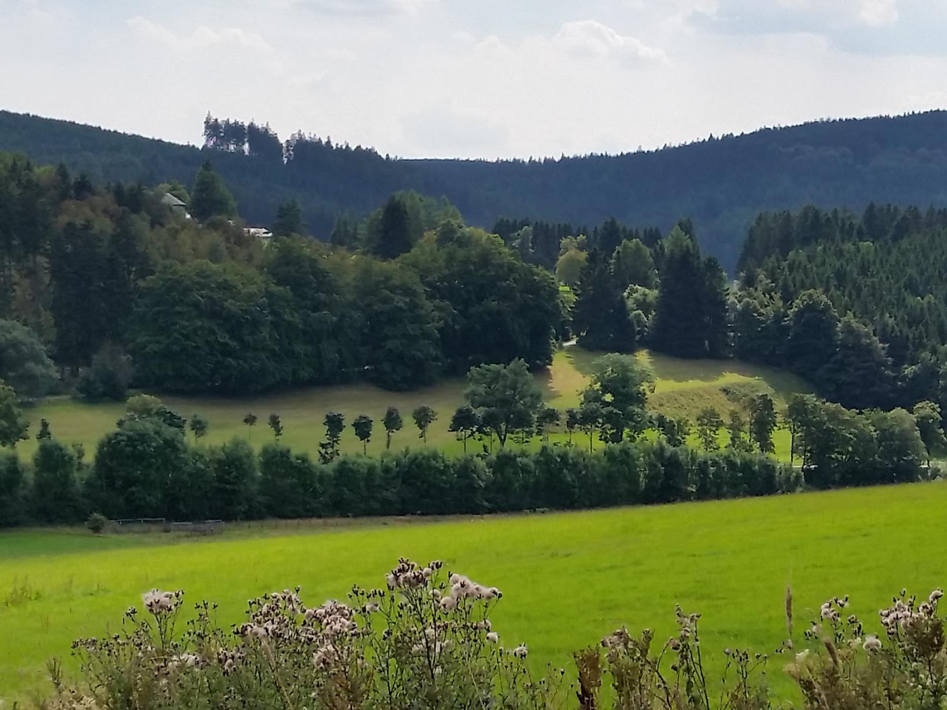 Ansicht 1 von Tierärztliche Praxis für Groß- und Kleintiere Carolin Stolpe