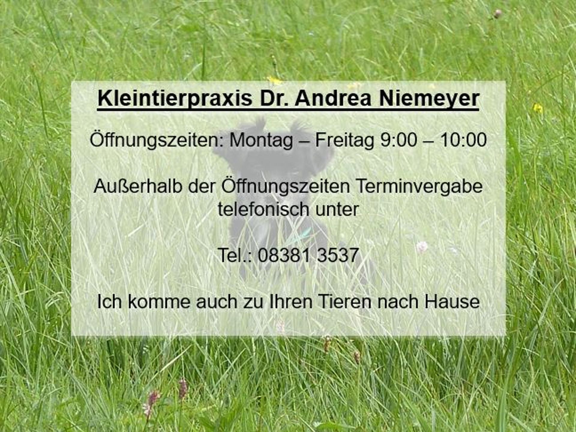 Ansicht 1 von Dr. med. vet. Andrea Niemeyer