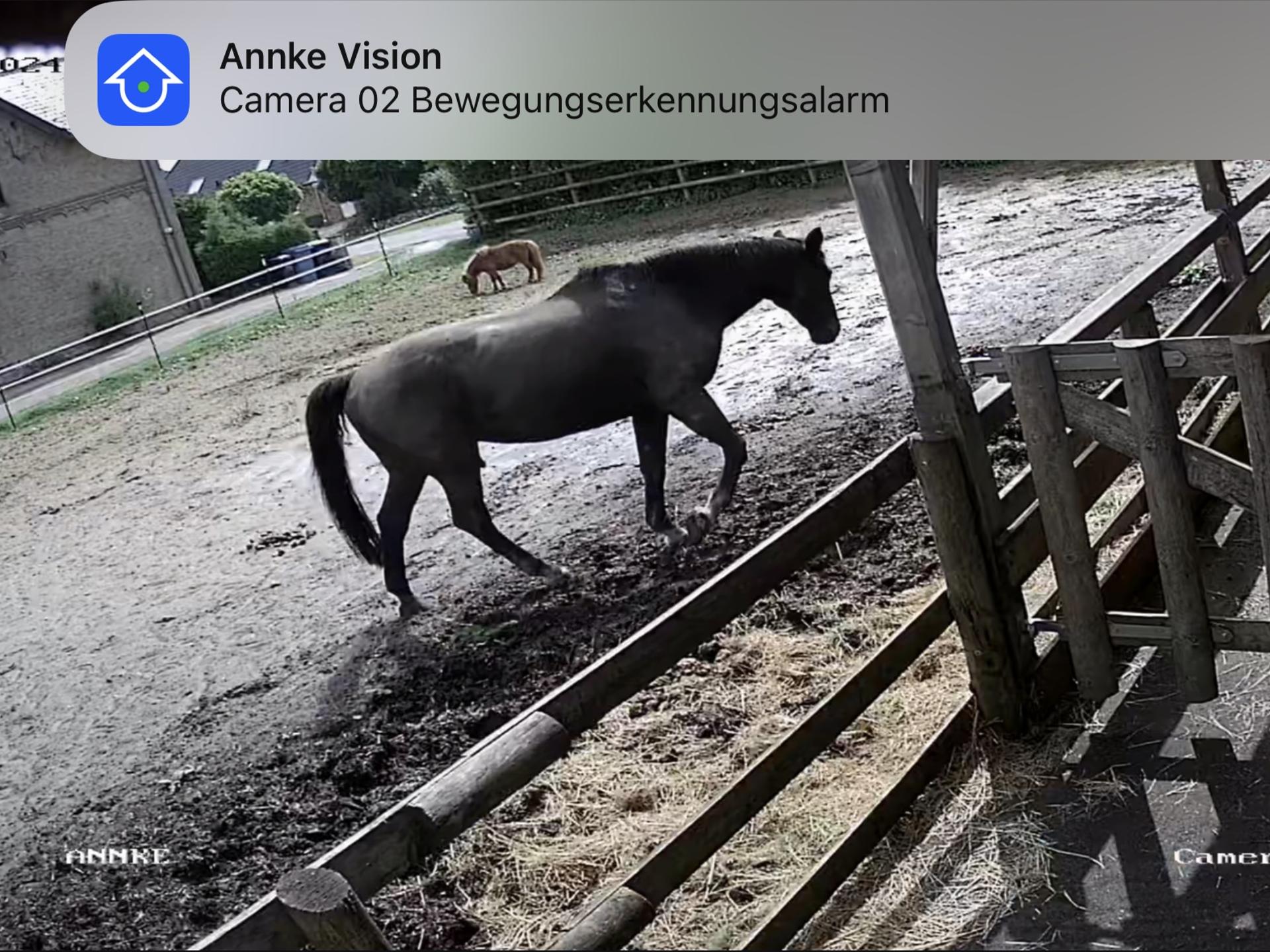 Ansicht 2 von Tierärztliche Praxis für Pferde Gerret Bruhn
