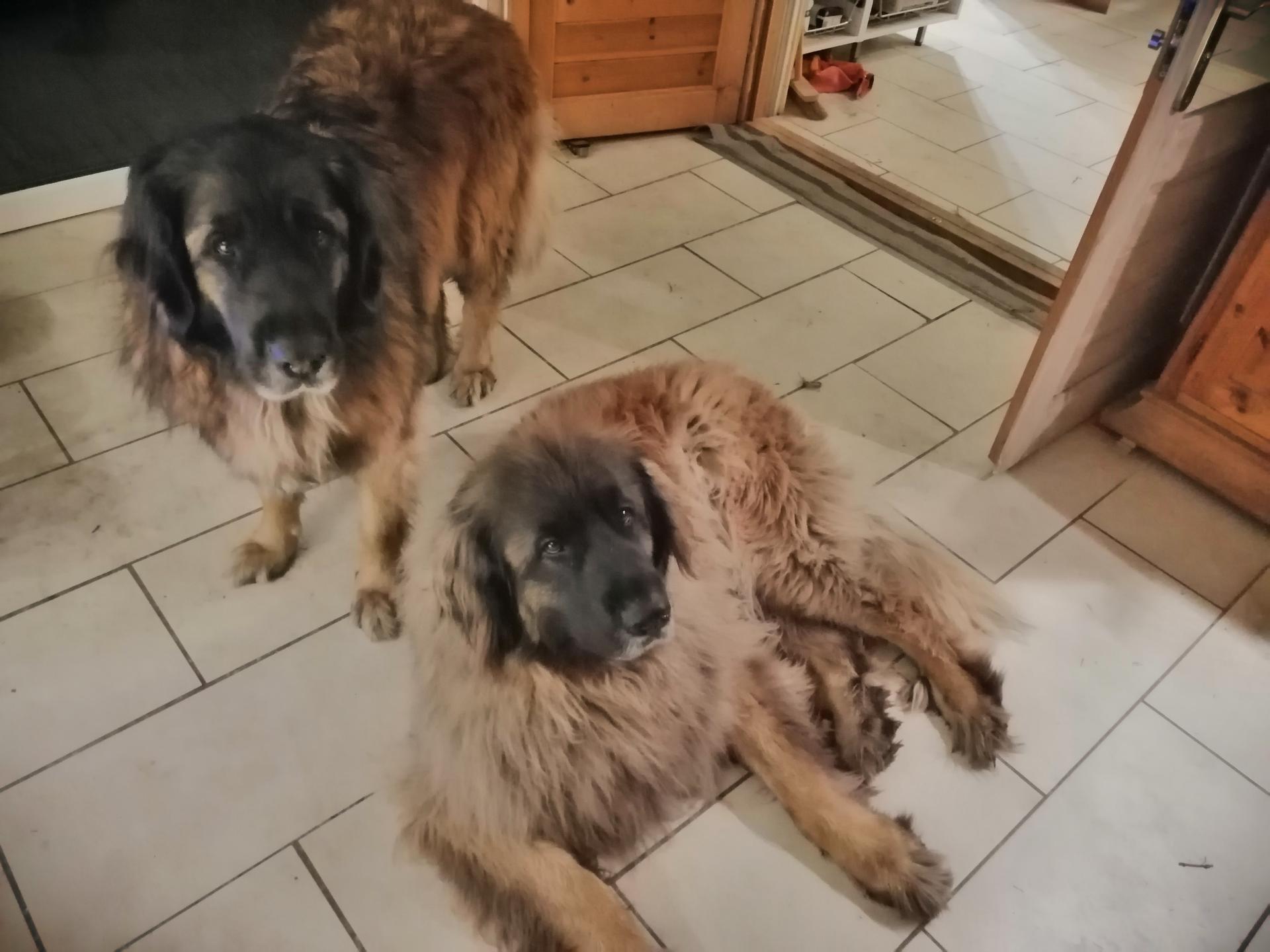 Ansicht 1 von Schmitz Kleintierpaxis
