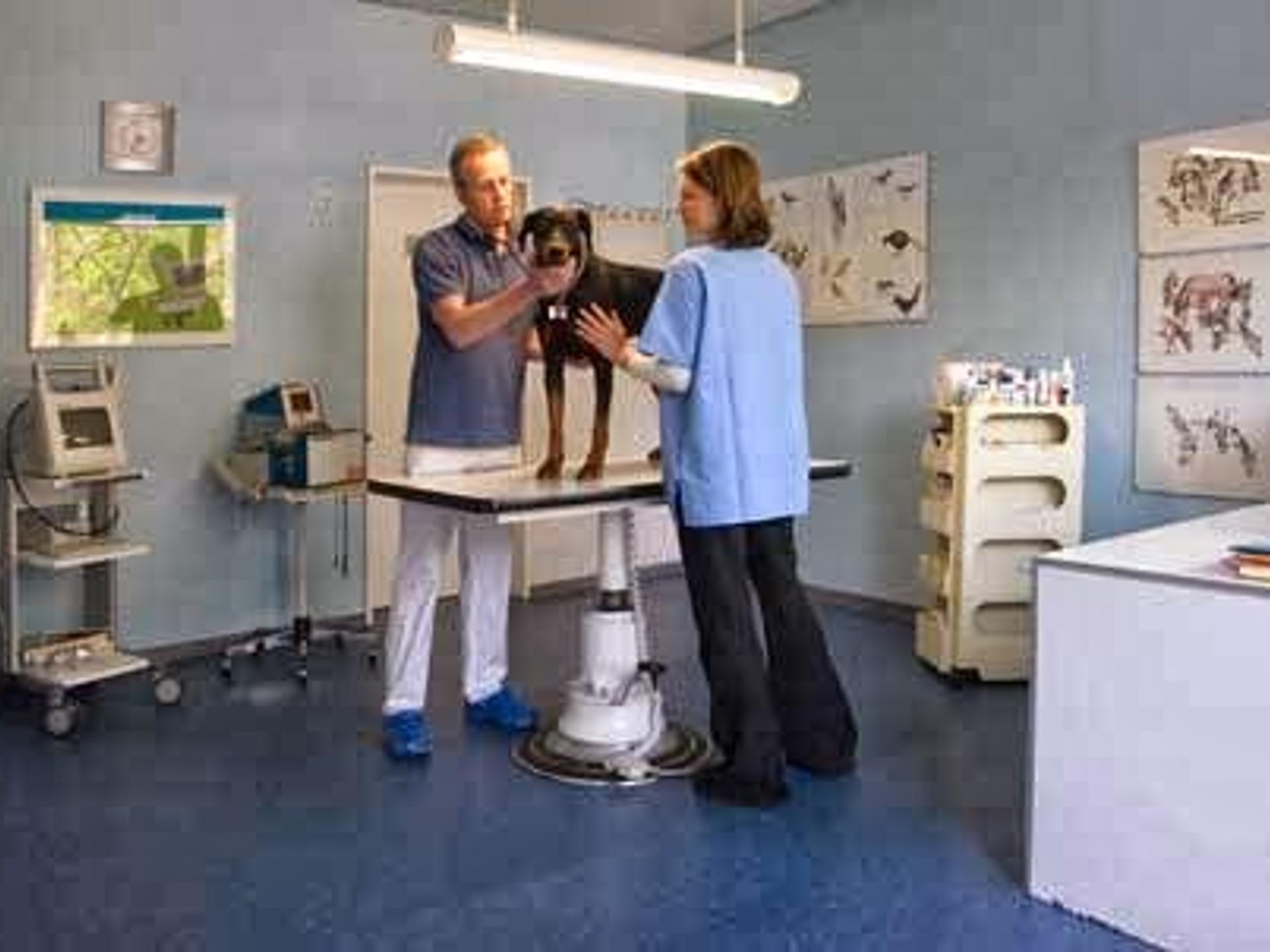 Ansicht 2 von Tierarztpraxis Dr. Tyrell & Dr. Haege GmbH