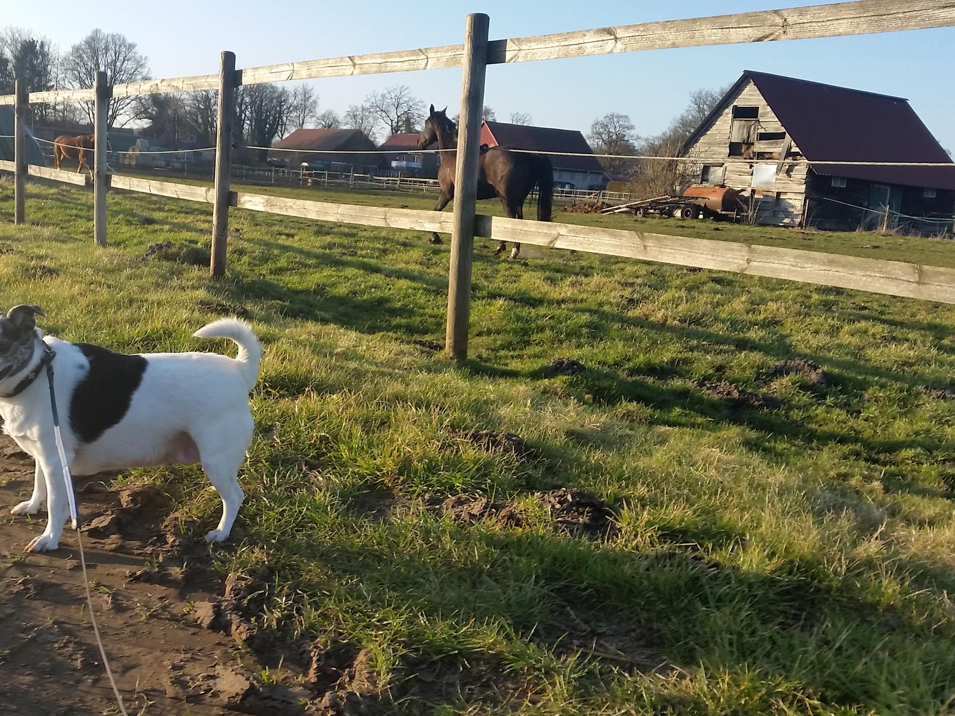 Ansicht 1 von Dr. Fides Siegert prakt. Tierärztin