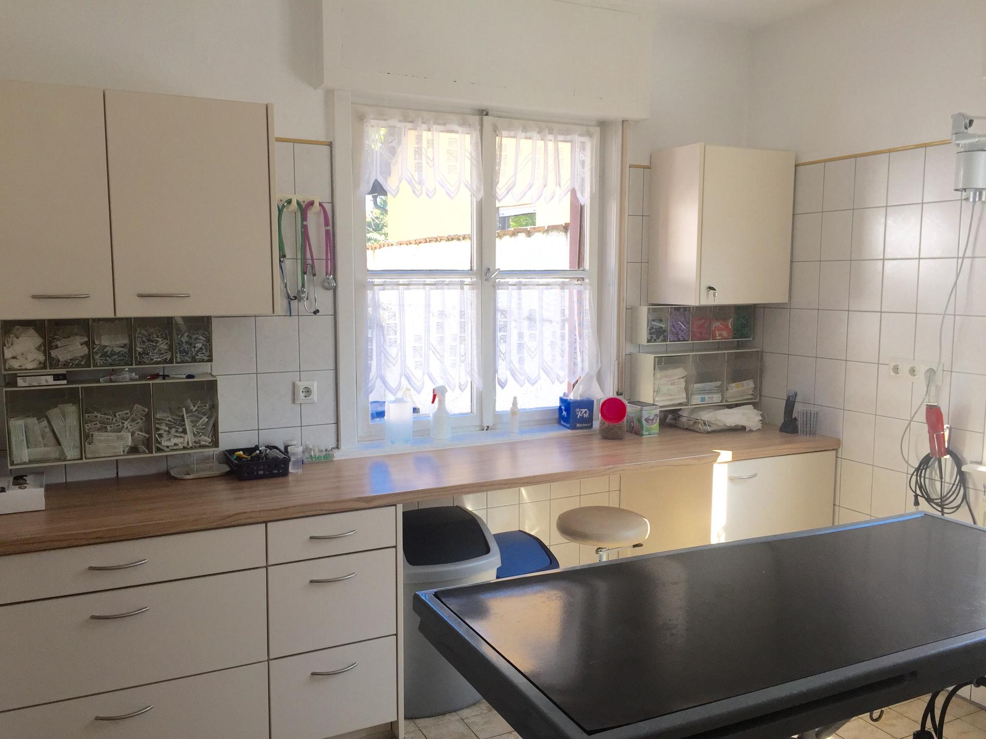 Ansicht 2 von Ulrike Häusler-Naumburger Tierärztin