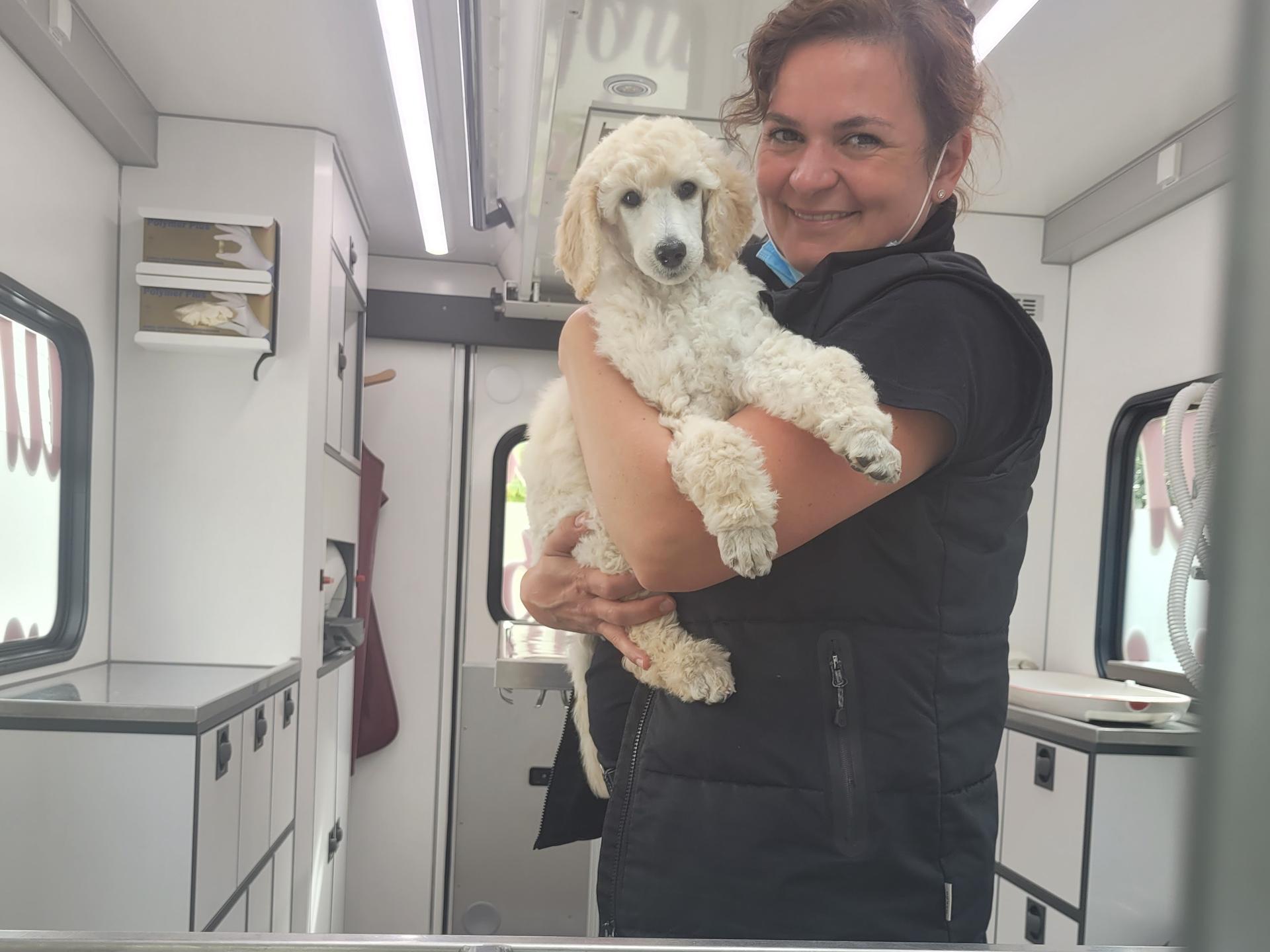 Ansicht 3 von Tierärztin Mobil