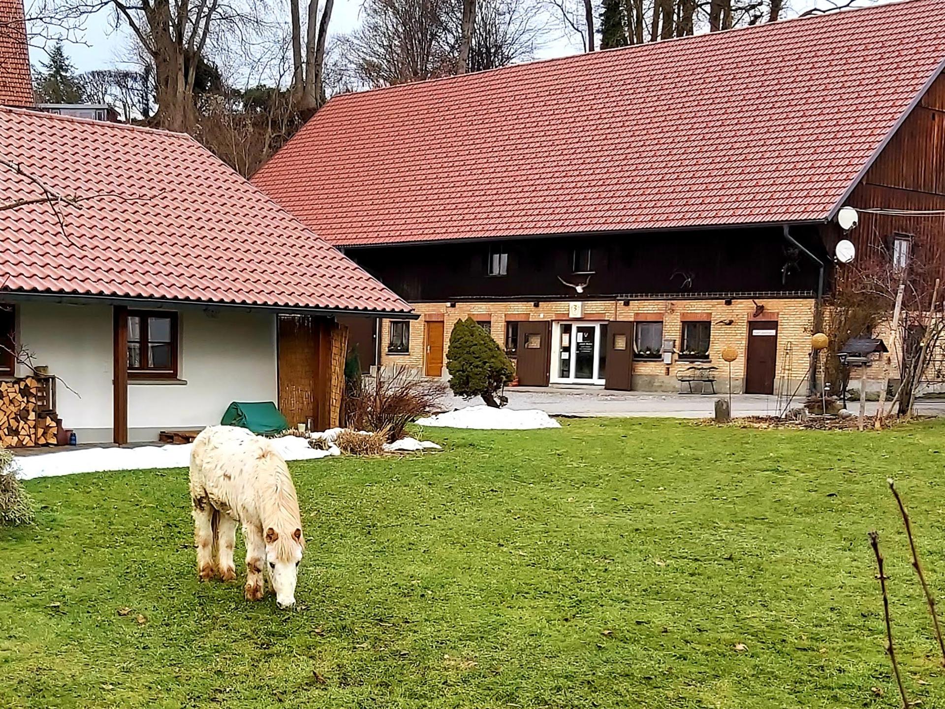 Ansicht 3 von Dr. med. vet. Josef Mohn