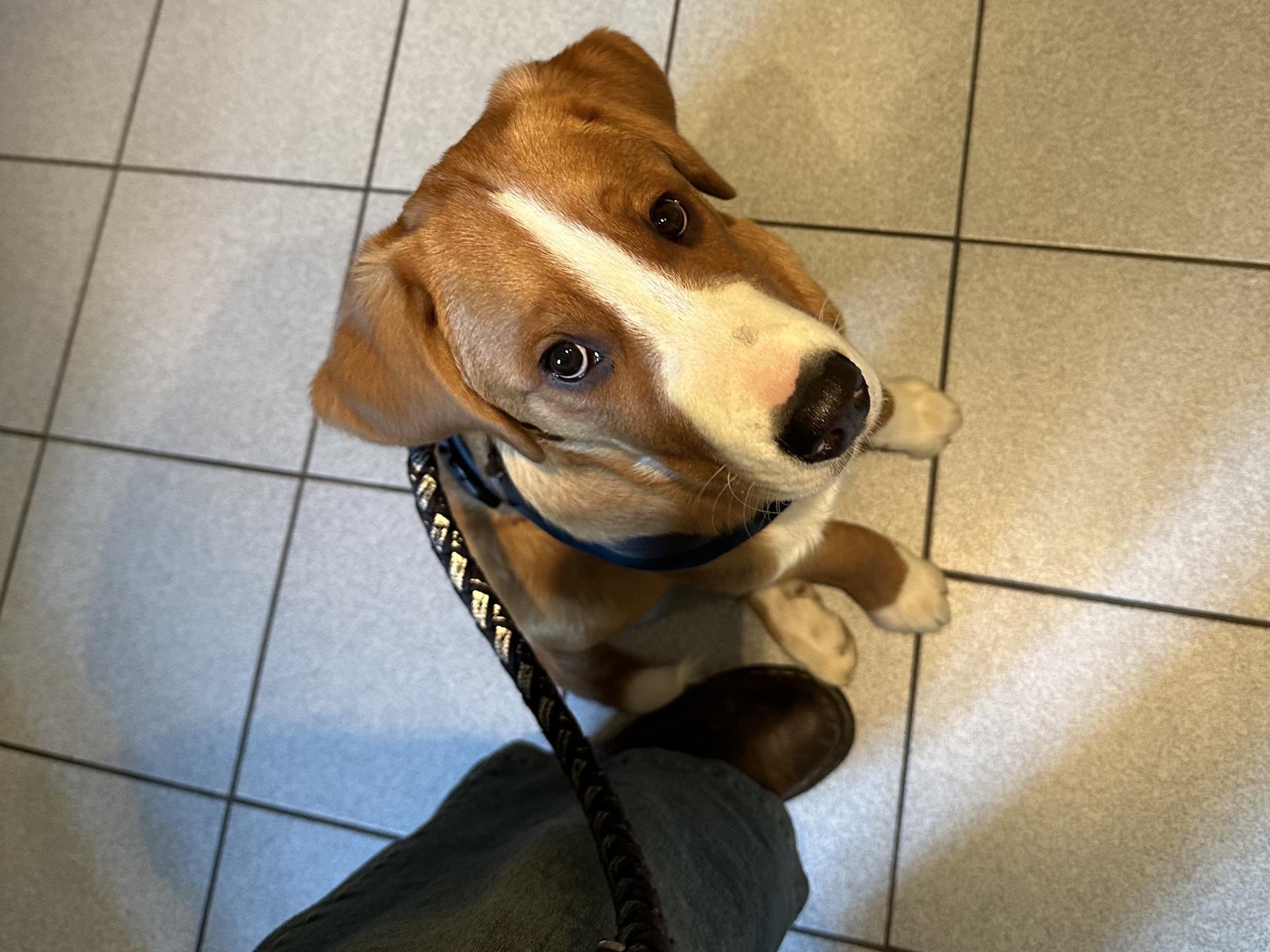 View 3 of Dr.med.vet. Giuliana Fumagalli Tierärztin