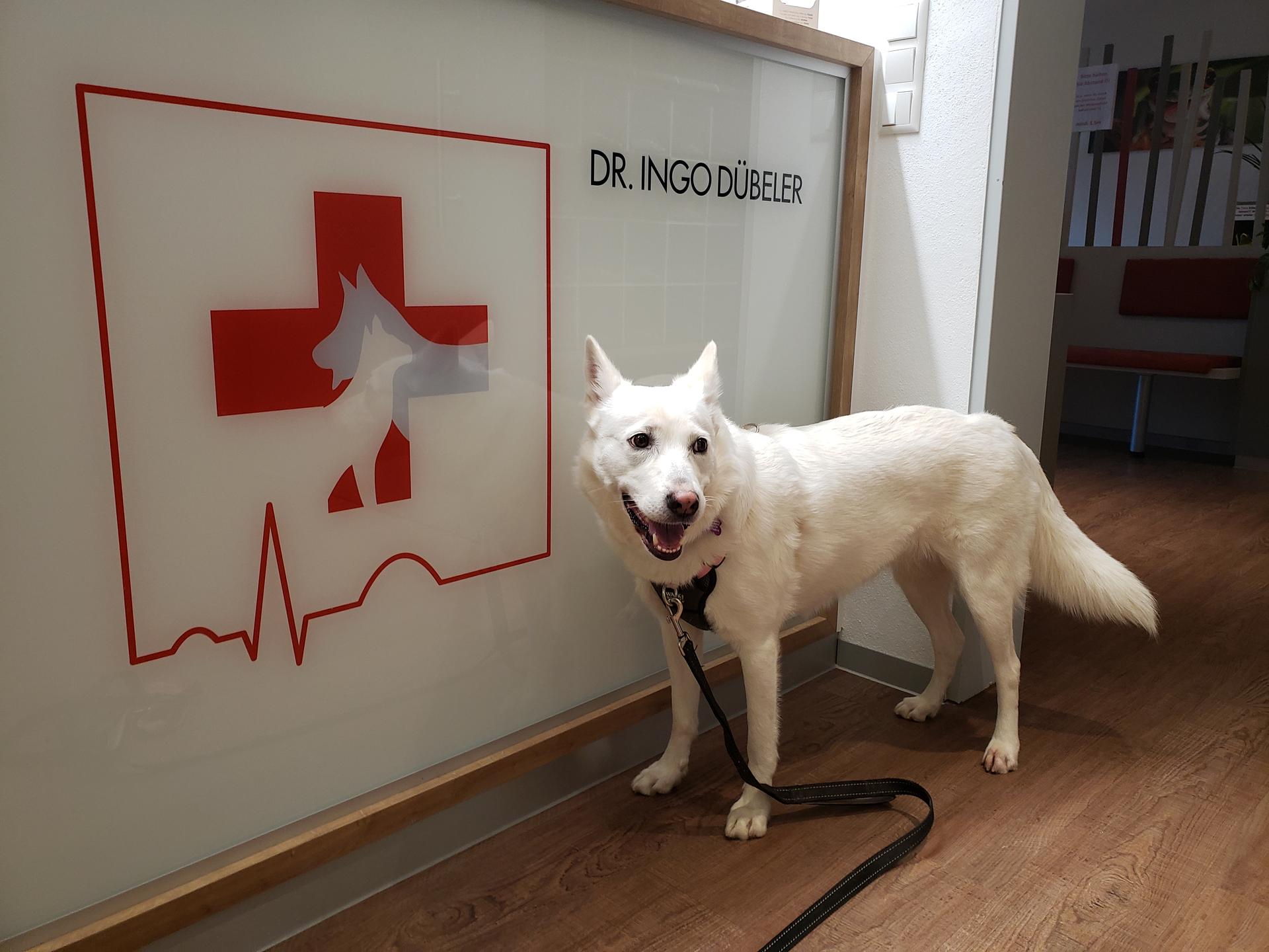 Ansicht 2 von Dr. Ingo Dübeler