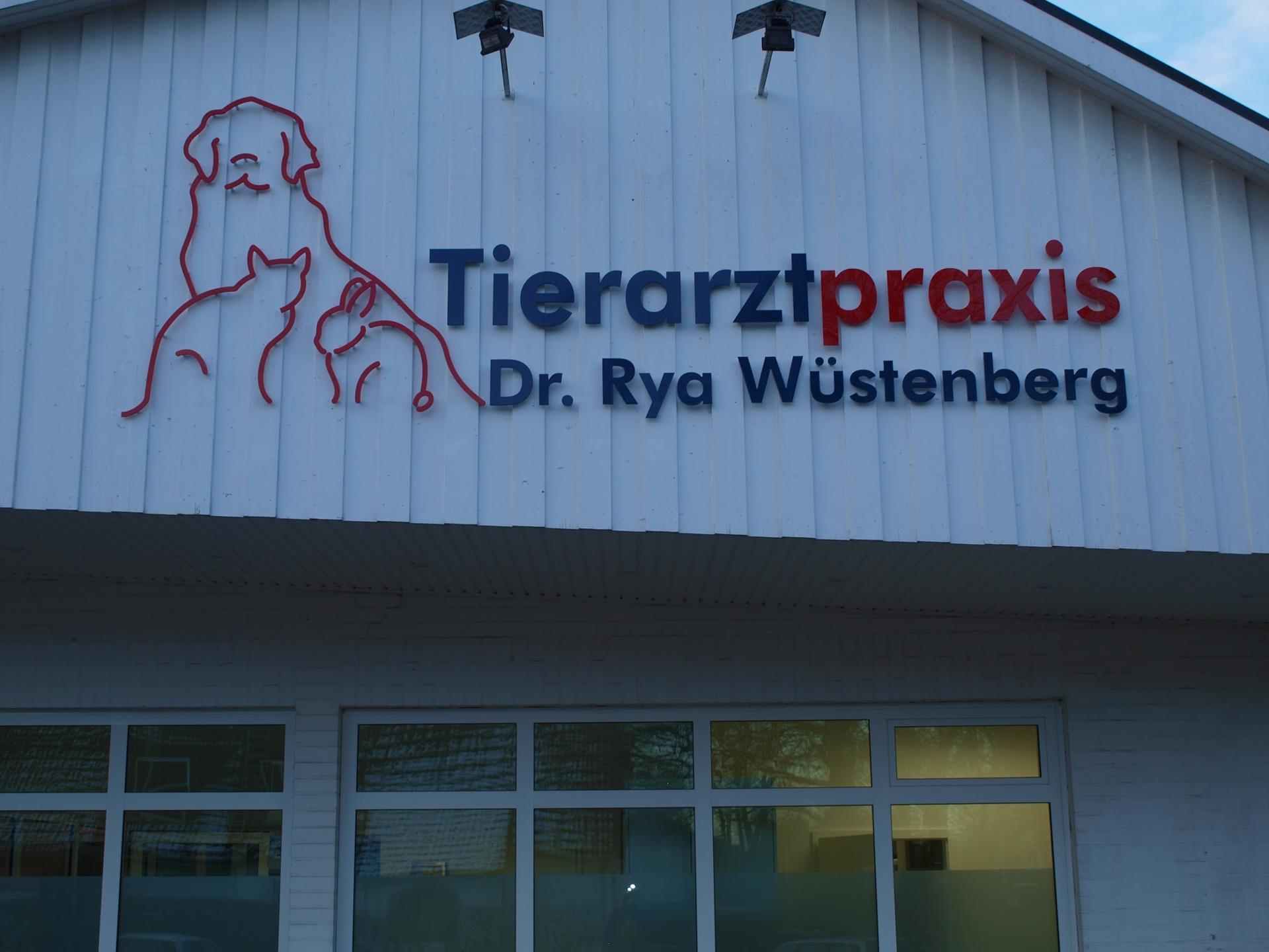 Ansicht 1 von Dr.med.vet. Rya Wüstenberg