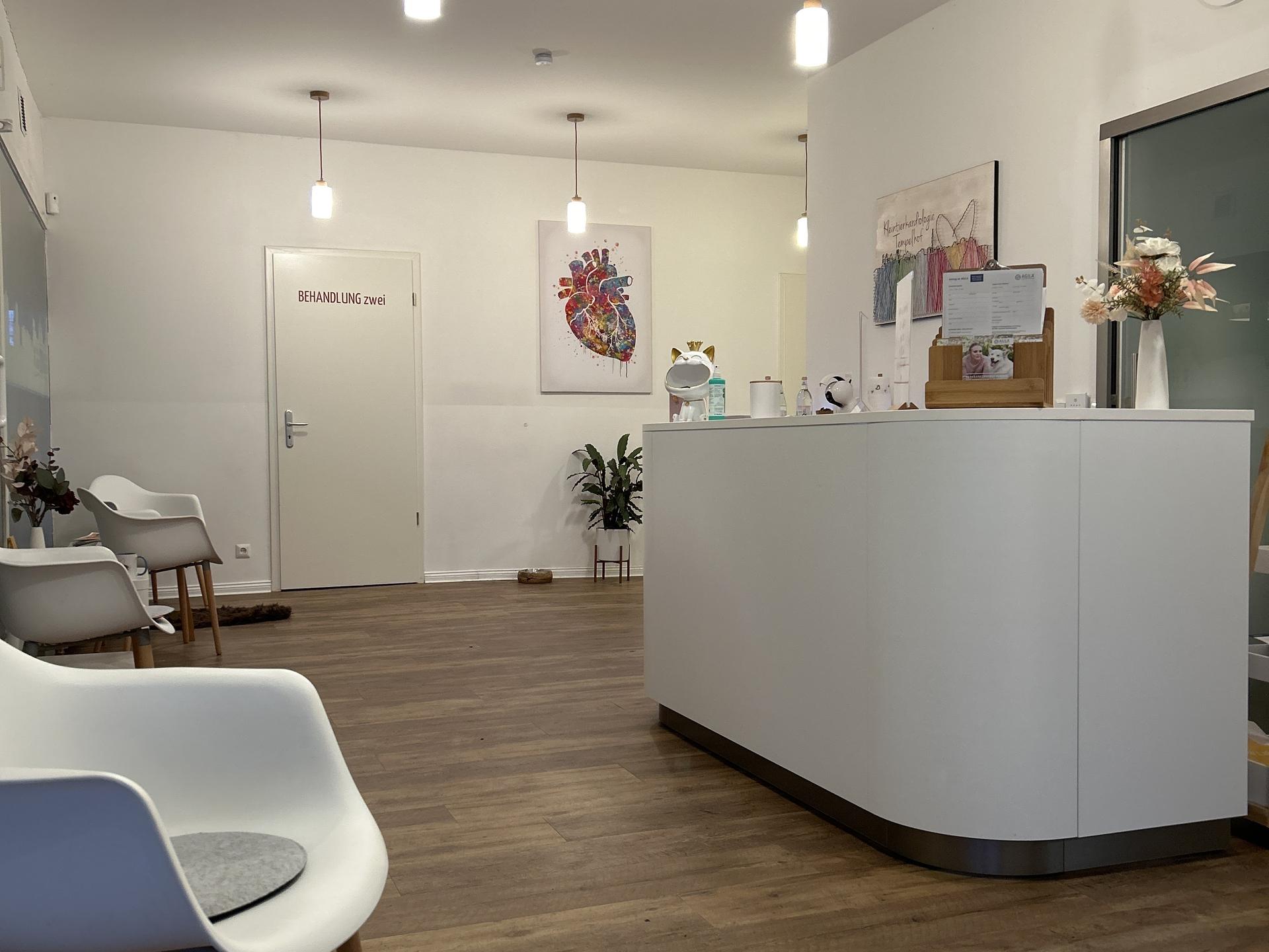 Ansicht 3 von Kleintierkardiologie Tempelhof