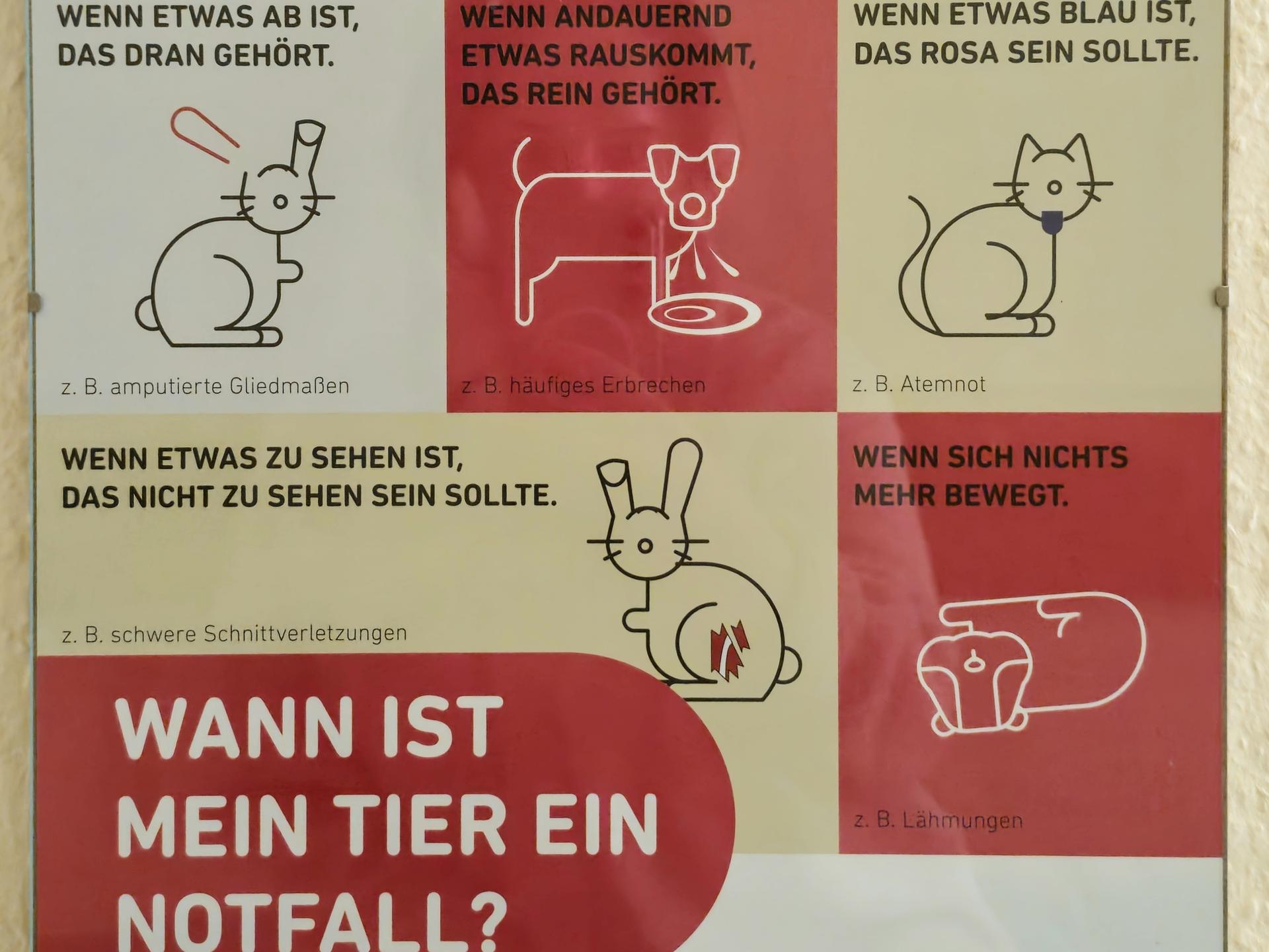 Ansicht 1 von Kleintierpraxis Riedel Plauen