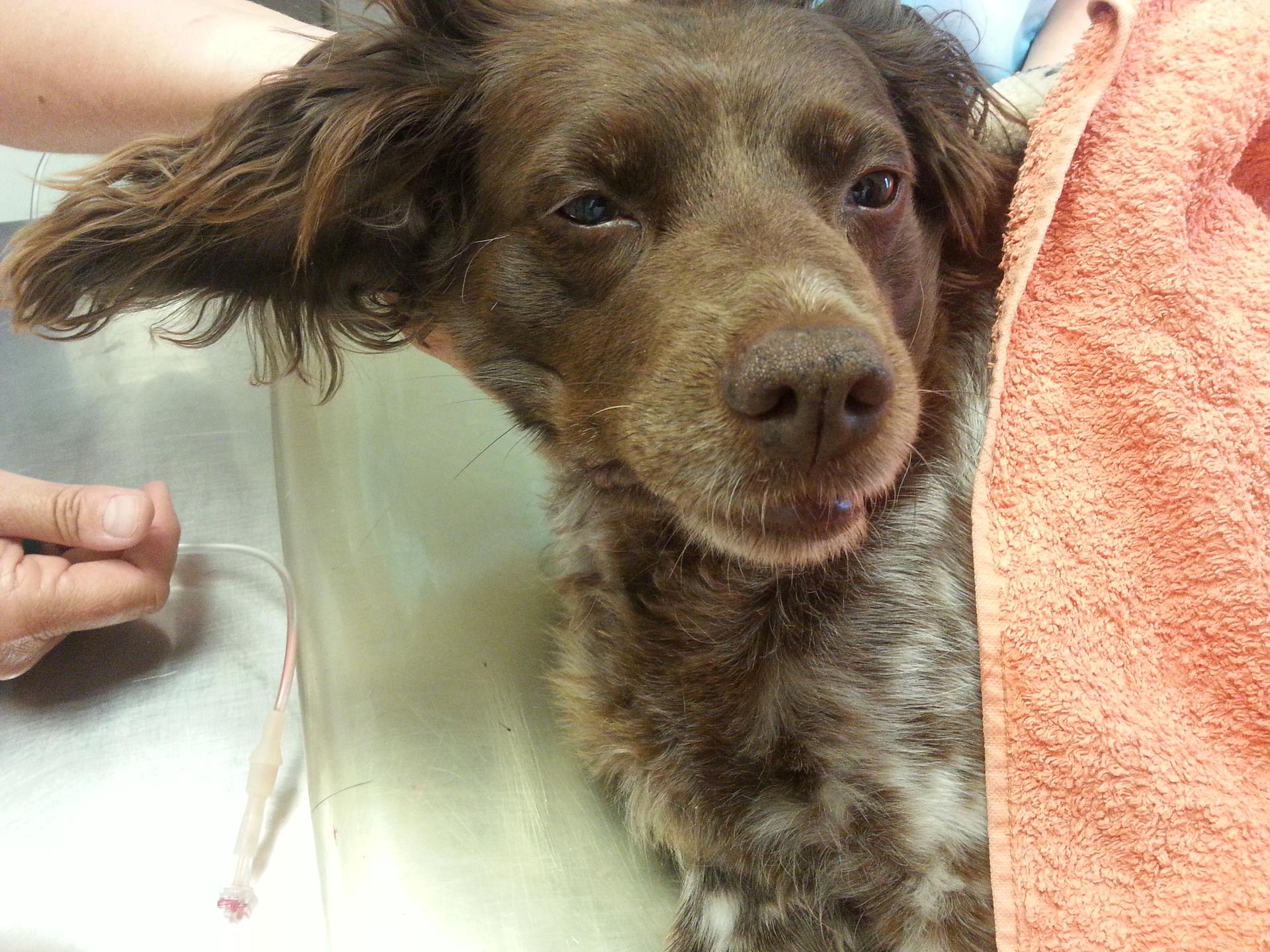 View 1 of Tierarztpraxis Dr. Barbara Vogt-Hellmuth