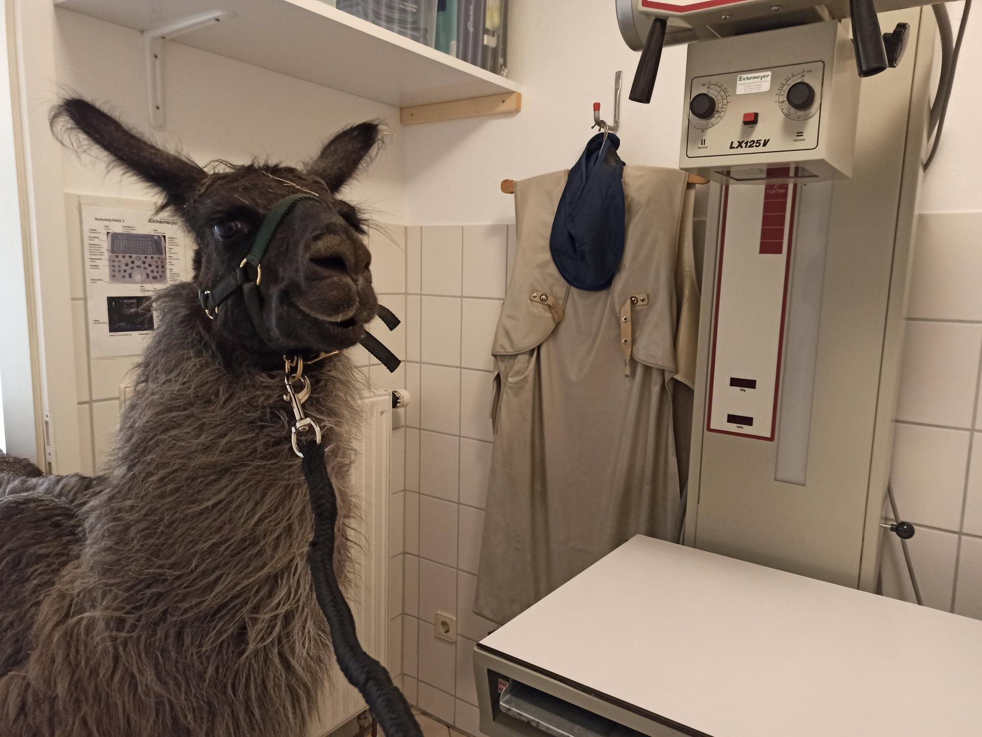 Ansicht 1 von Tierarztpraxis Backnang, Sabrina Hohberg