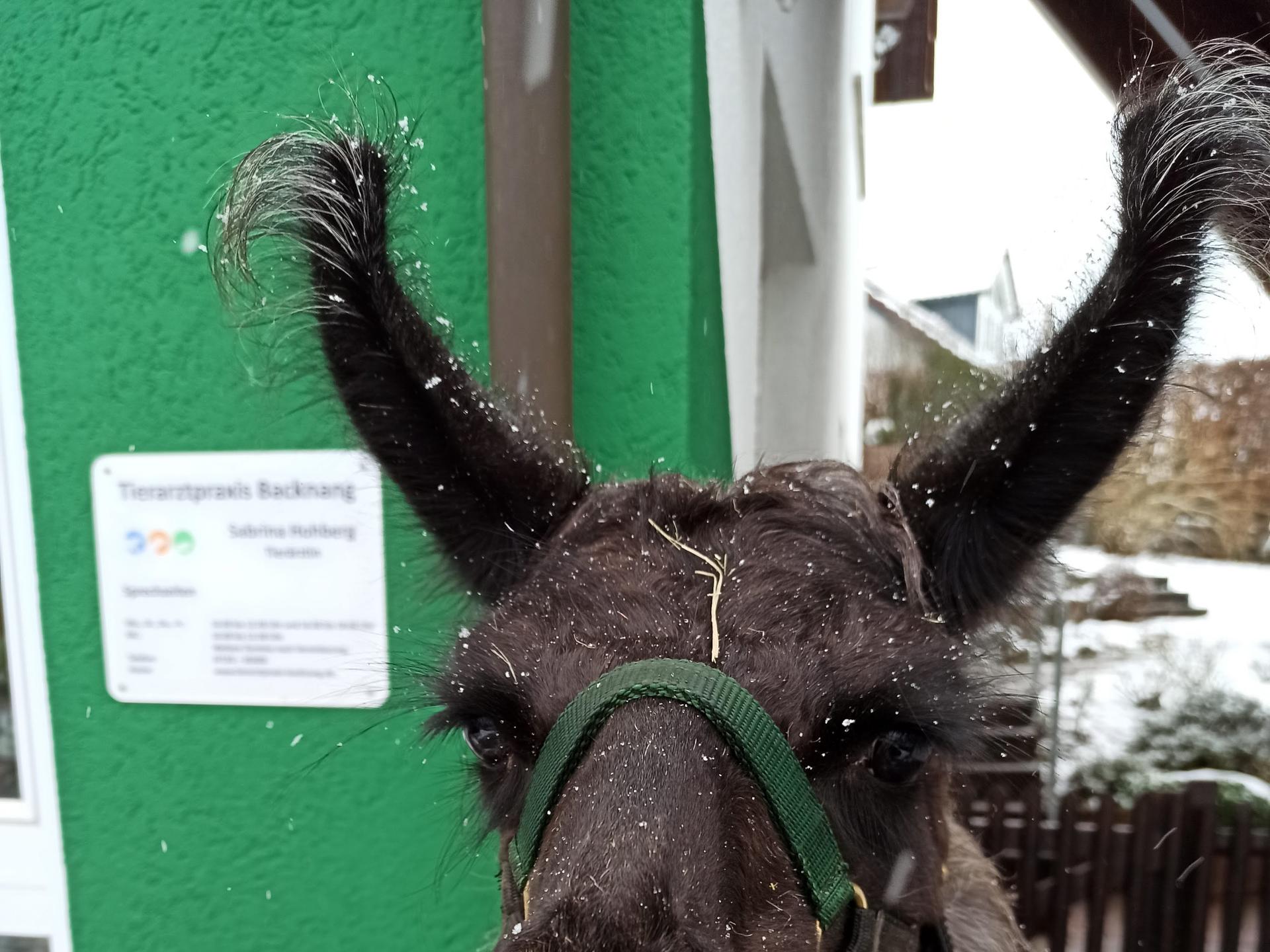 Ansicht 2 von Tierarztpraxis Backnang, Sabrina Hohberg