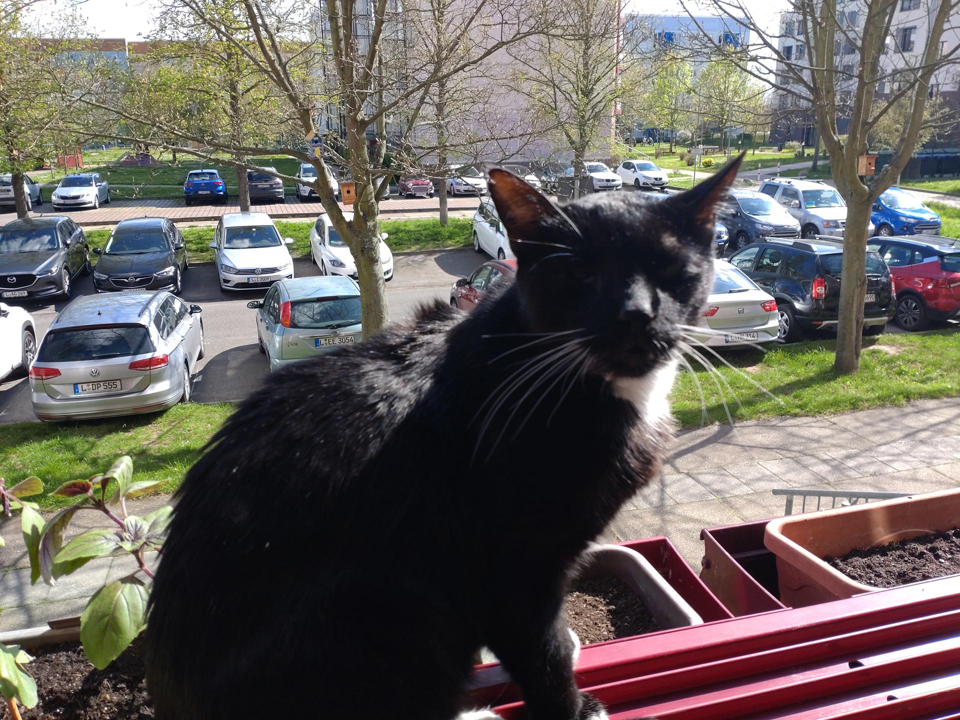 View 1 of Tierarztpraxis für Katzen- und Verhaltensmedizin Dr. Katja Oelmann