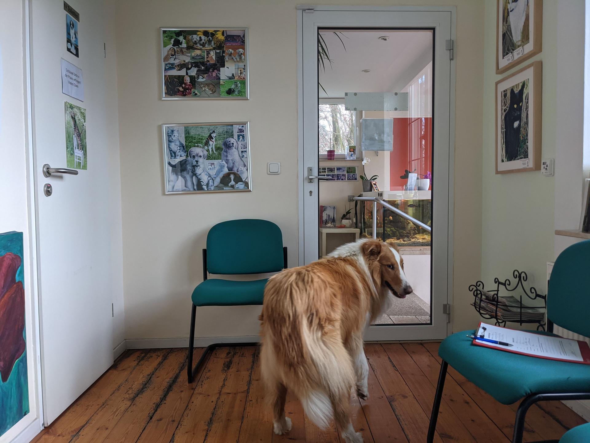 View 1 of Kleintierpraxis Werneuchen Dr. med. vet. Annett Kastner