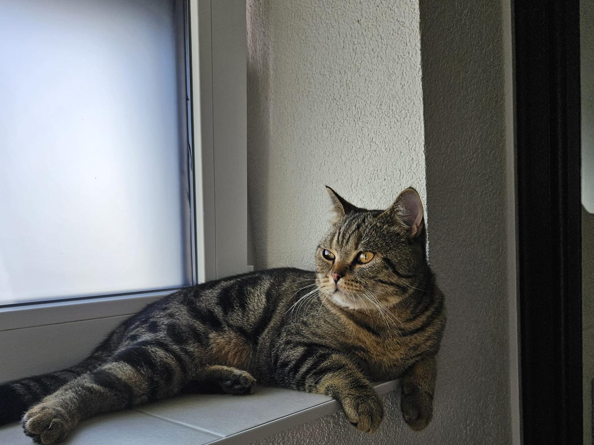 Ansicht 3 von Tierärztliche Gemeinschaftspraxis Knochendöppel & Weih