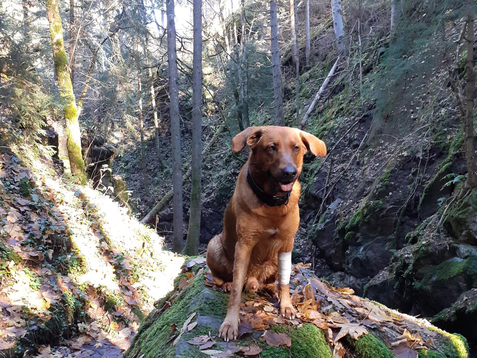 Ansicht 2 von Tierarzt Regina Kohler