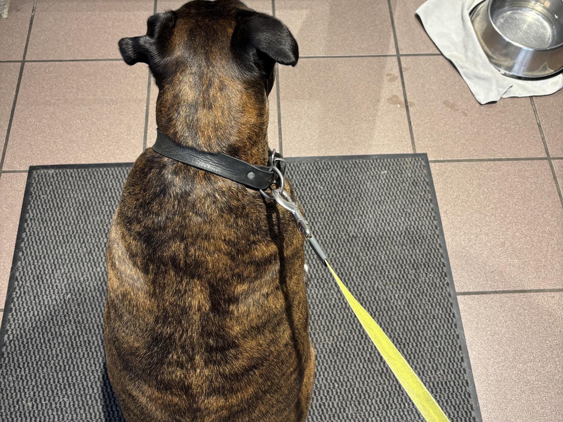 Ansicht 3 von Tieraugenzentrum de Meinweg, Dr. med. vet. Daniela Harre