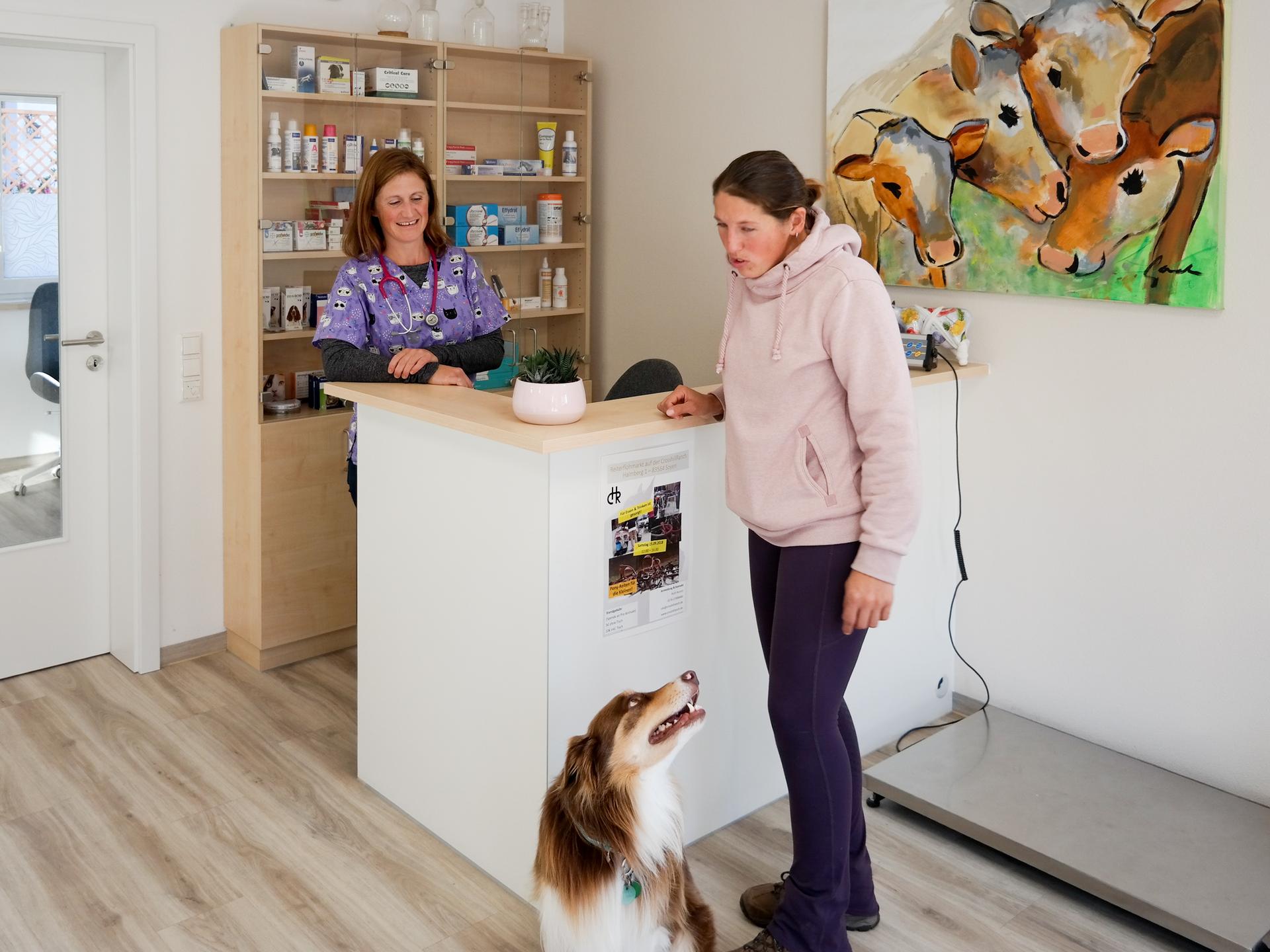 Ansicht 1 von Dr. med. vet. Christian Brüser-Pieper * Tierärzte Altdorf