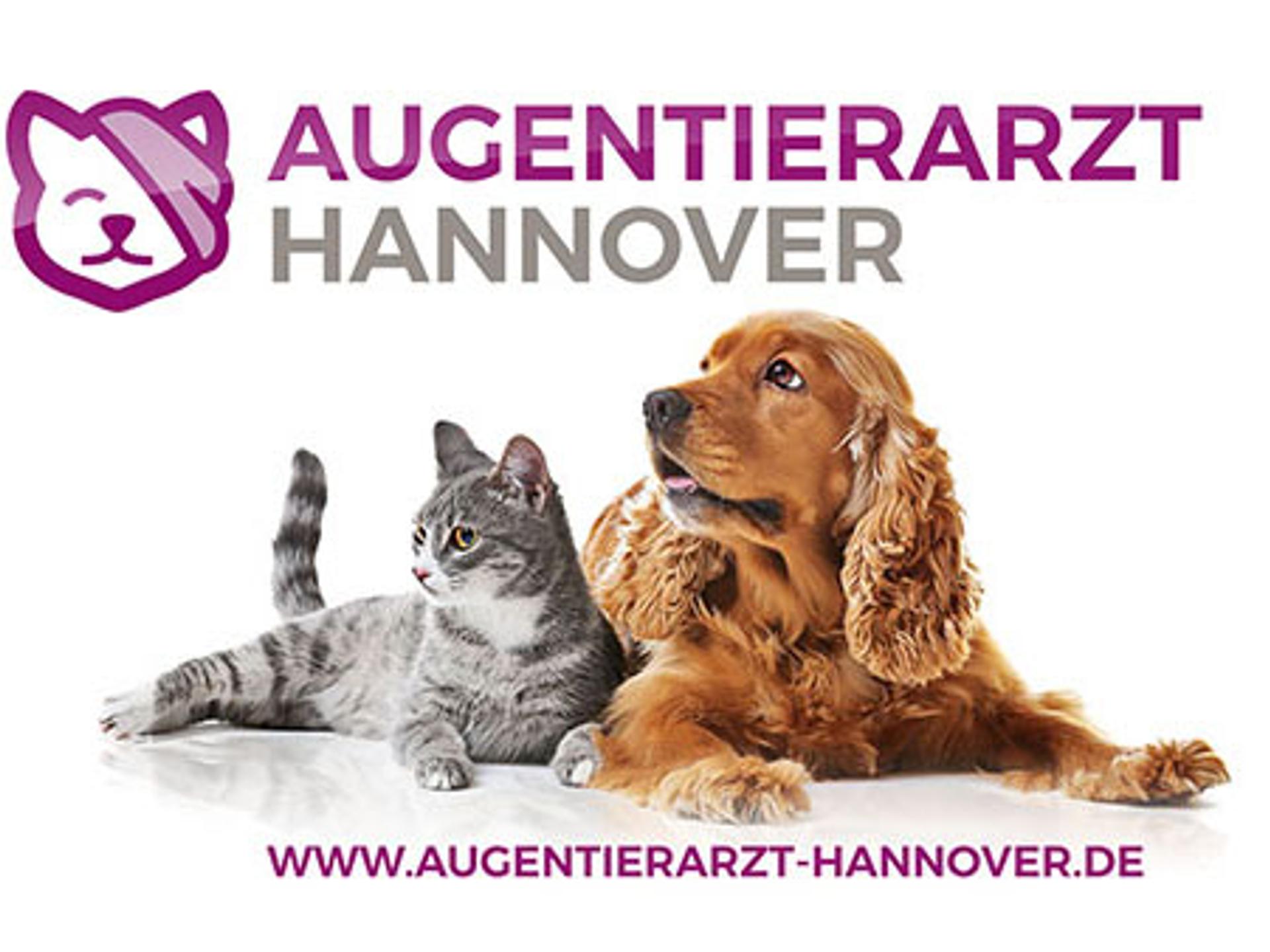 Ansicht 3 von Augentierarzt Hannover - Ariane von Lücken