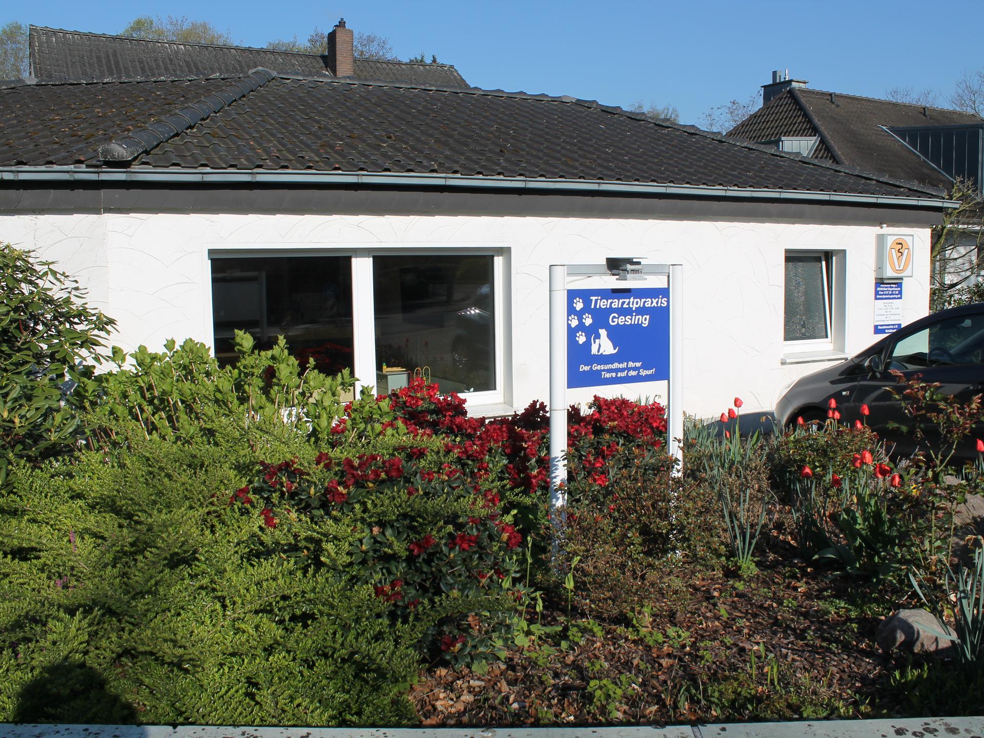 Ansicht 1 von Tierarztpraxis Gesing