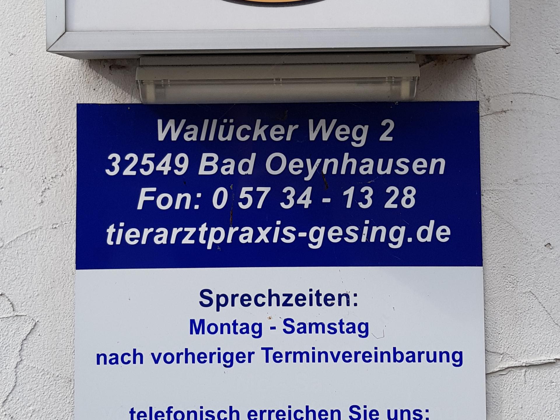 Ansicht 4 von Tierarztpraxis Gesing
